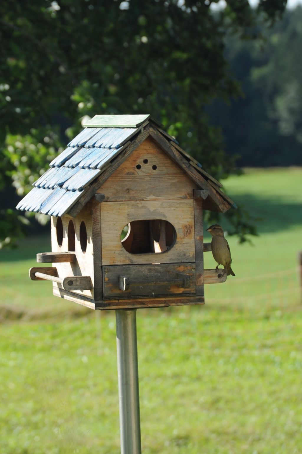 Kellerstöckl am veganen Bio-Lebenshof - Varm - the vegan Farm-Image-tags.info