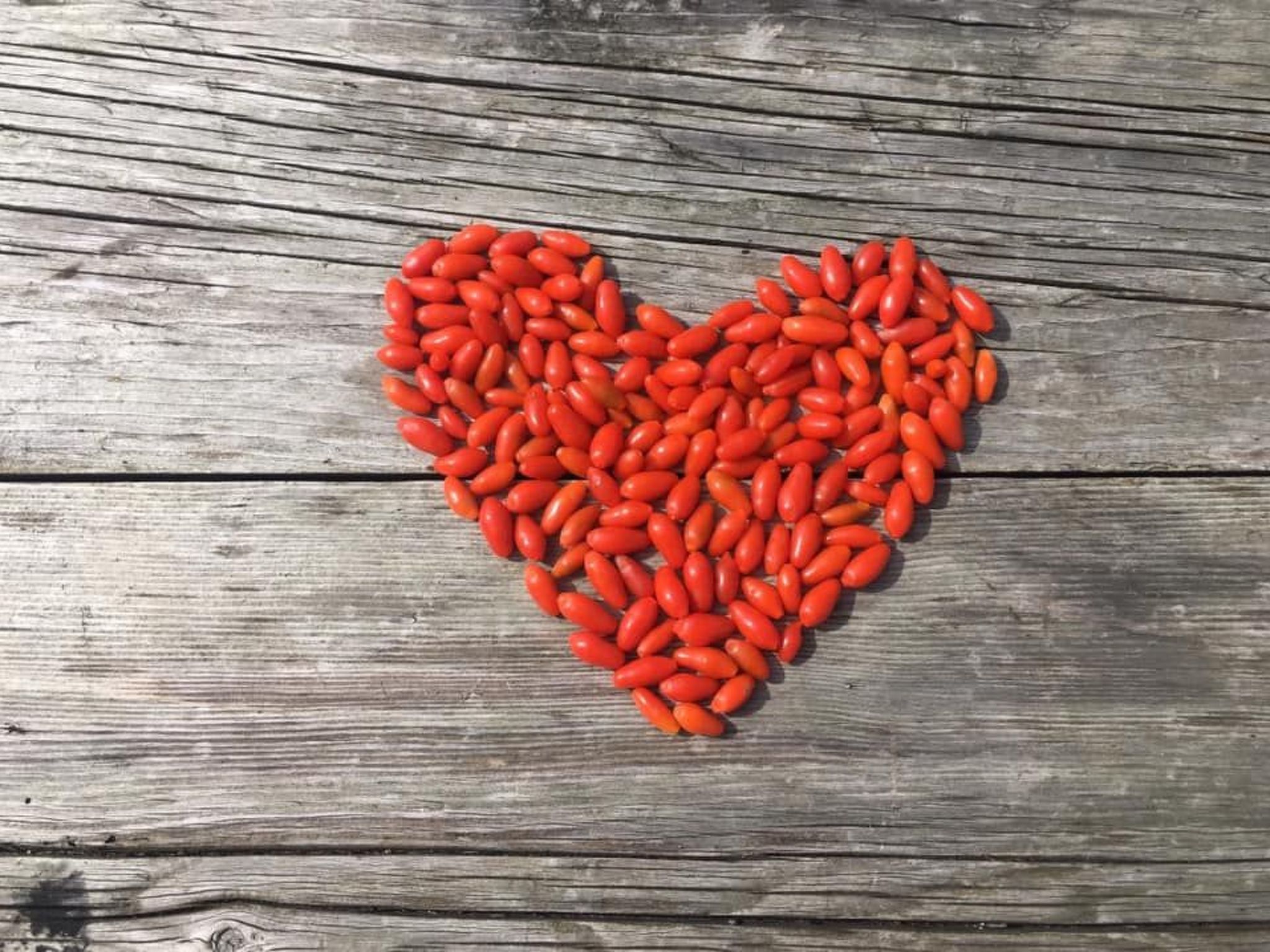 Kellerstöckl am veganen Bio-Lebenshof - Varm - the vegan Farm-Image-tags.info