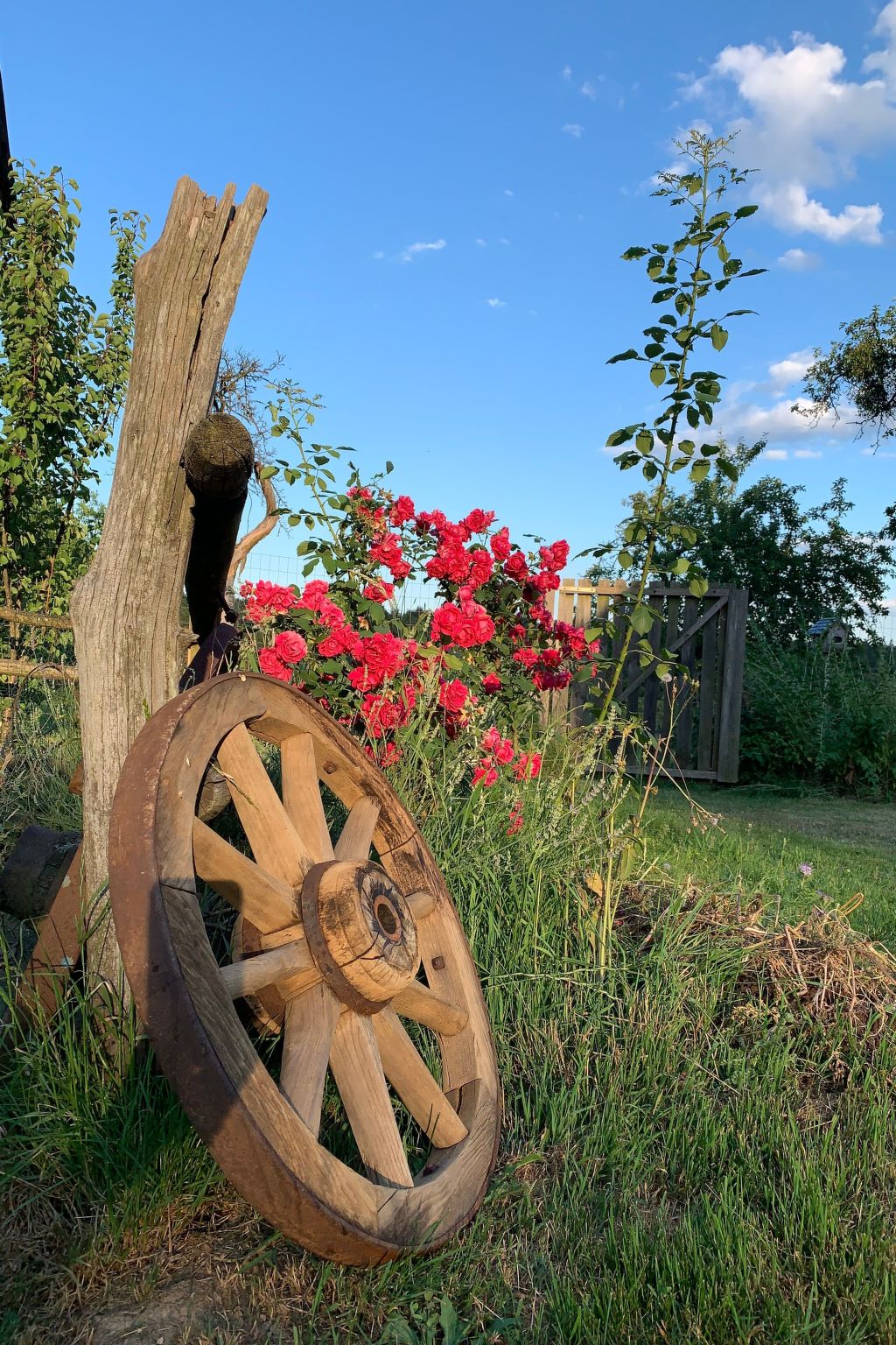 Kellerstöckl am veganen Bio-Lebenshof - Varm - the vegan Farm-Image-tags.info