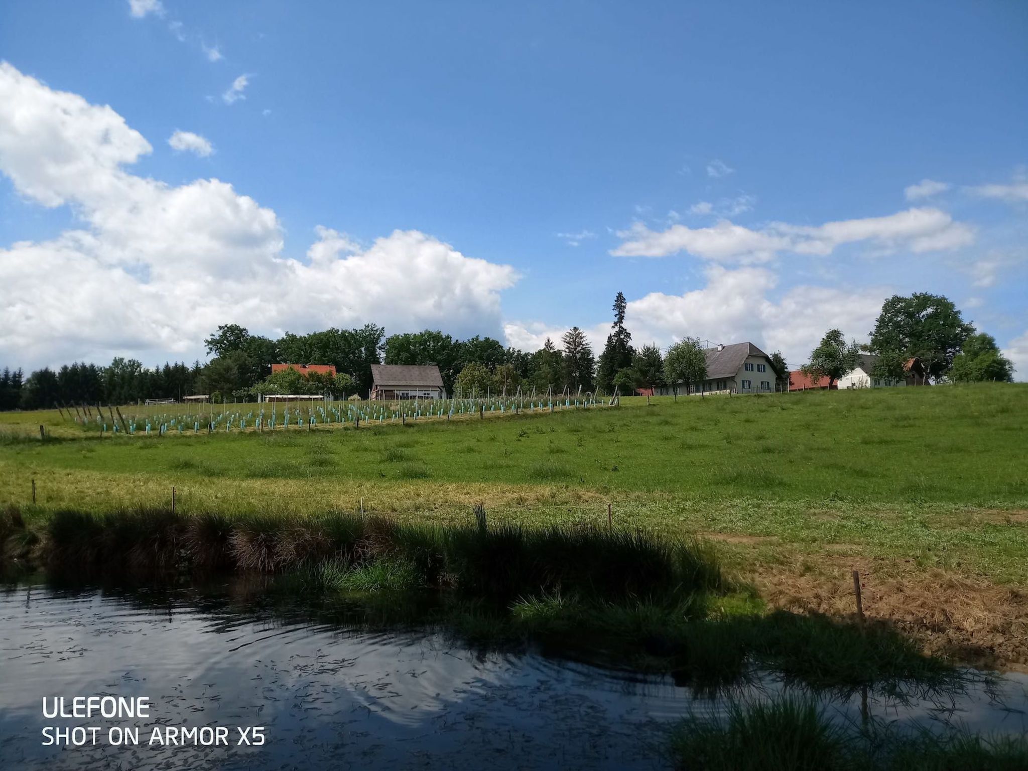 Kellerstöckl am veganen Bio-Lebenshof - Varm - the vegan Farm-Image-tags.info