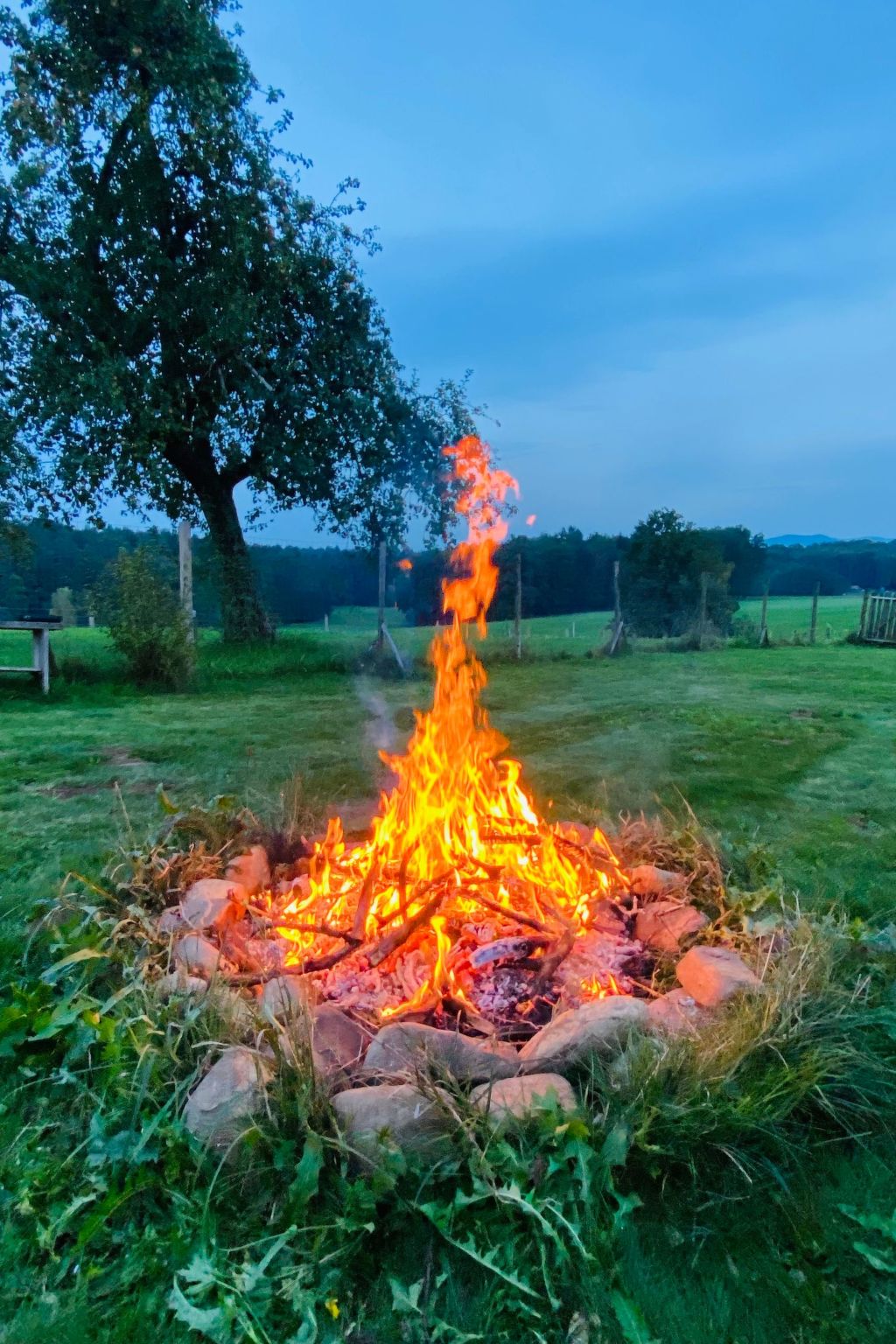 Kellerstöckl am veganen Bio-Lebenshof - Varm - the vegan Farm