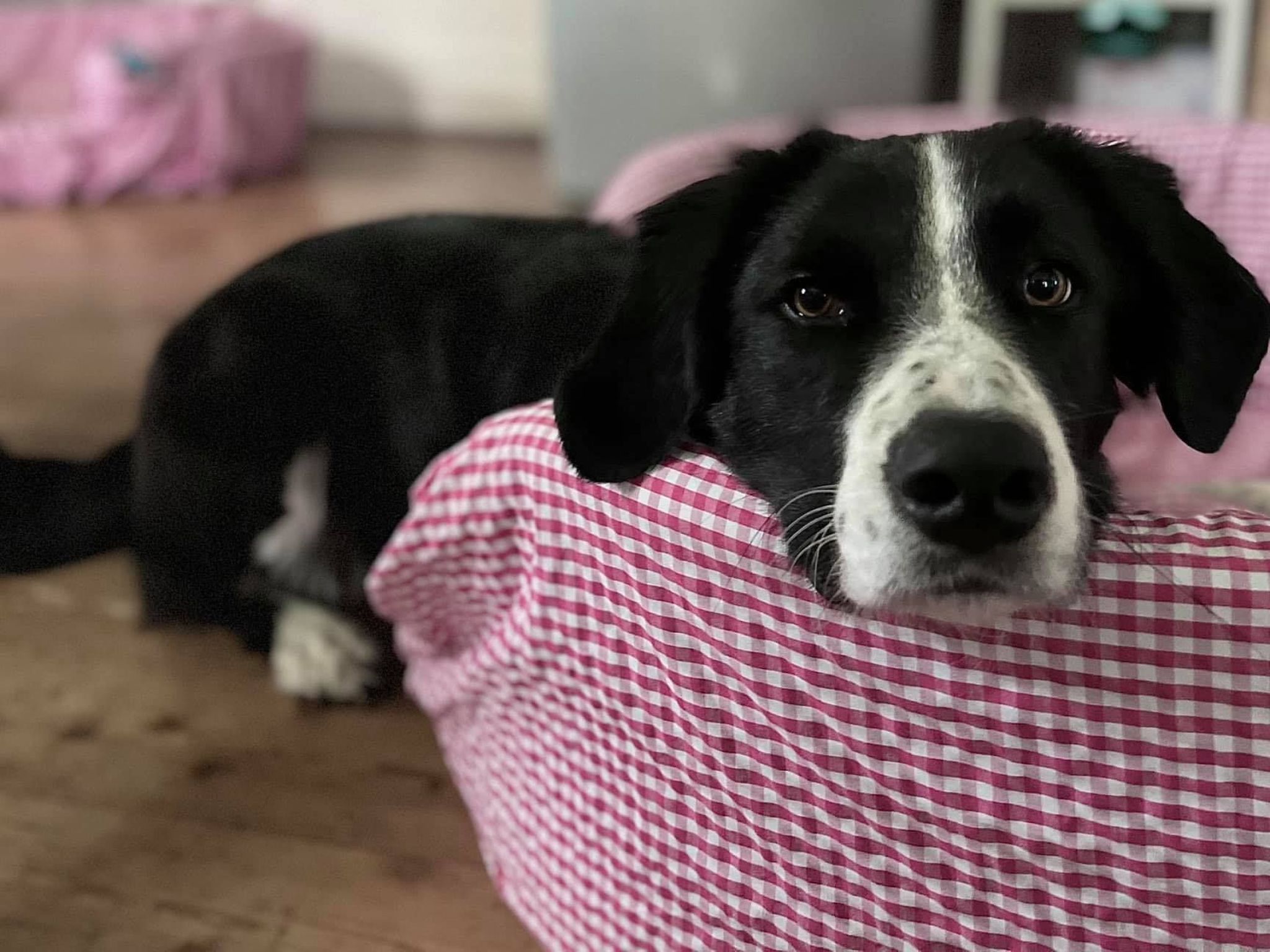 Kellerstöckl am veganen Bio-Lebenshof - Varm - the vegan Farm-Image-tags.info