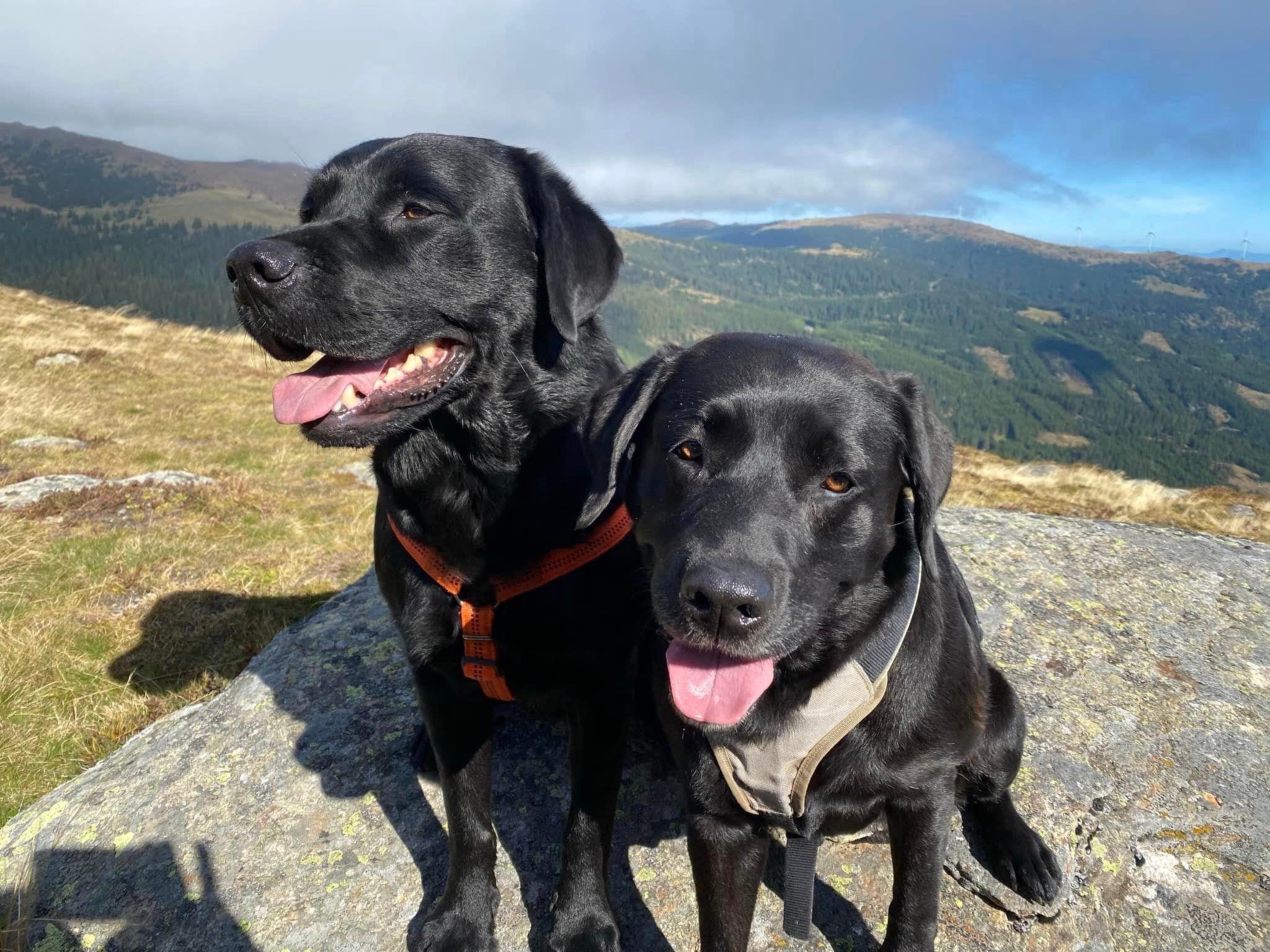 Kellerstöckl am veganen Bio-Lebenshof - Varm - the vegan Farm-Image-tags.info