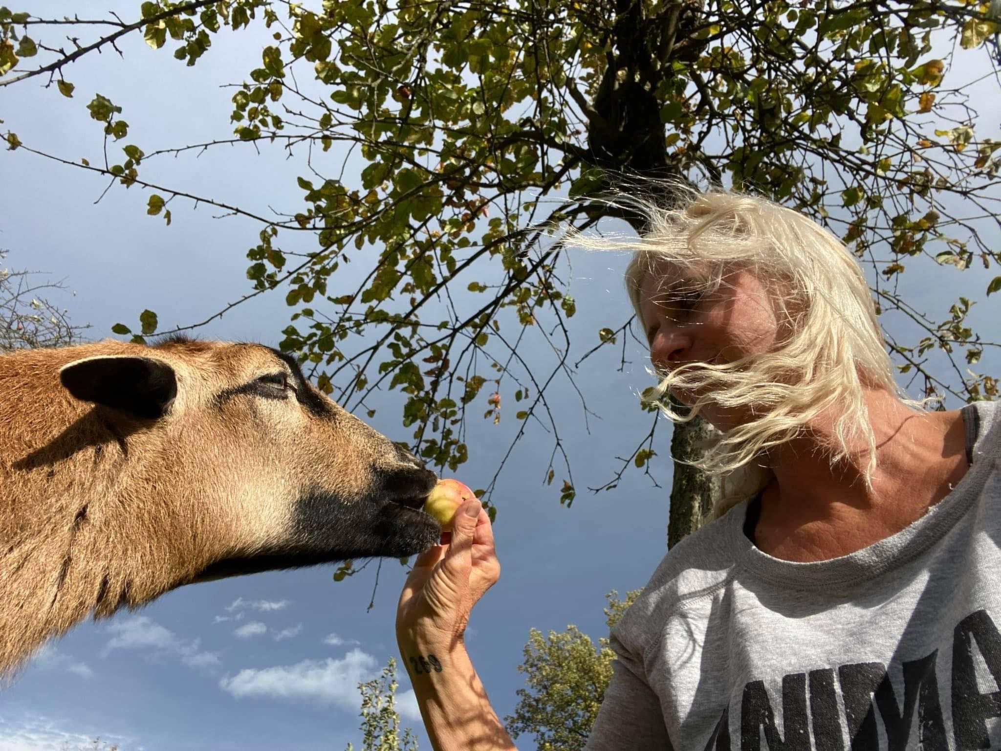 Kellerstöckl am veganen Bio-Lebenshof - Varm - the vegan Farm-Image-tags.info