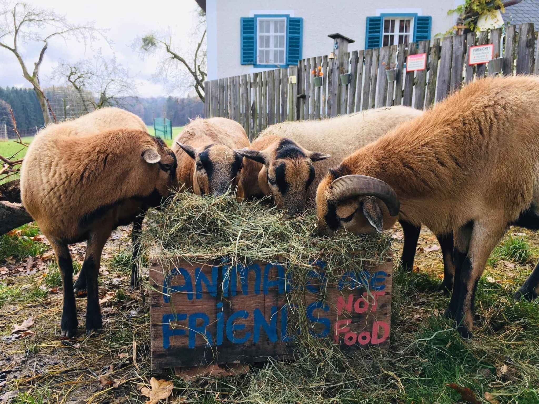 Kellerstöckl am veganen Bio-Lebenshof - Varm - the vegan Farm-Image-tags.info
