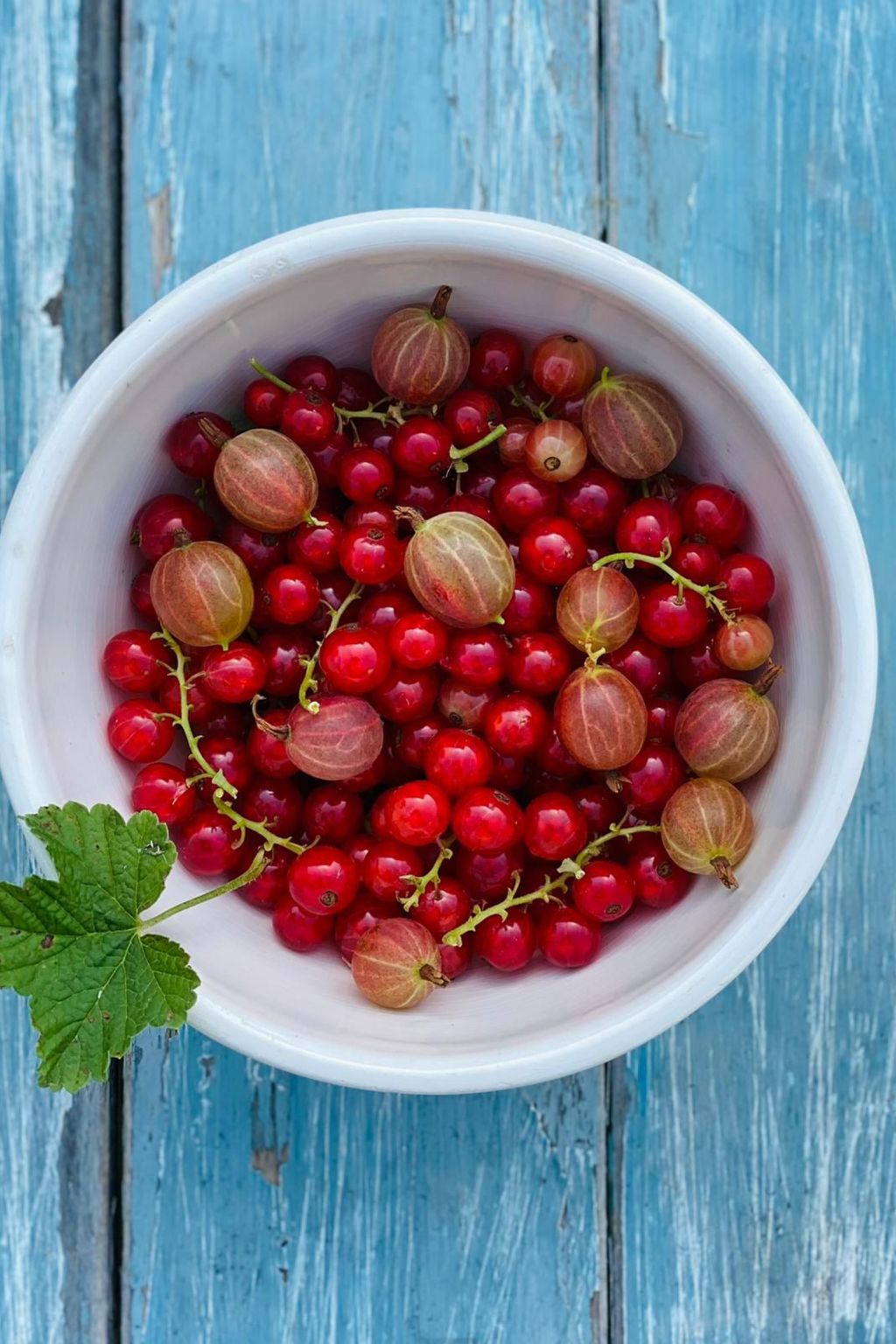 Kellerstöckl am veganen Bio-Lebenshof - Varm - the vegan Farm-Image-tags.info