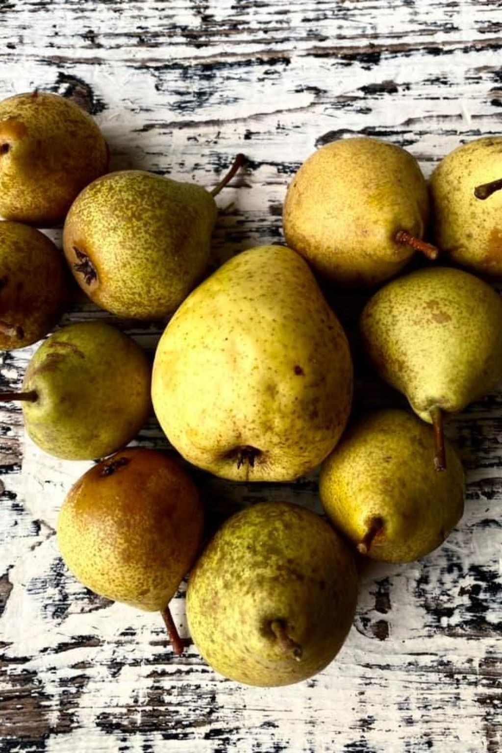 Kellerstöckl am veganen Bio-Lebenshof - Varm - the vegan Farm-Image-tags.info