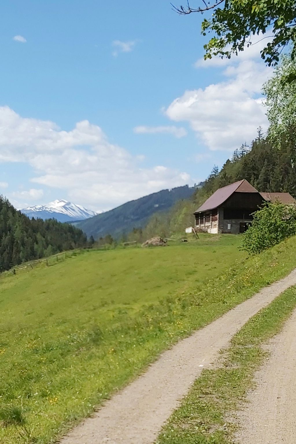 Moderne Wohnung in Pöls mit großer Terrasse-Inside