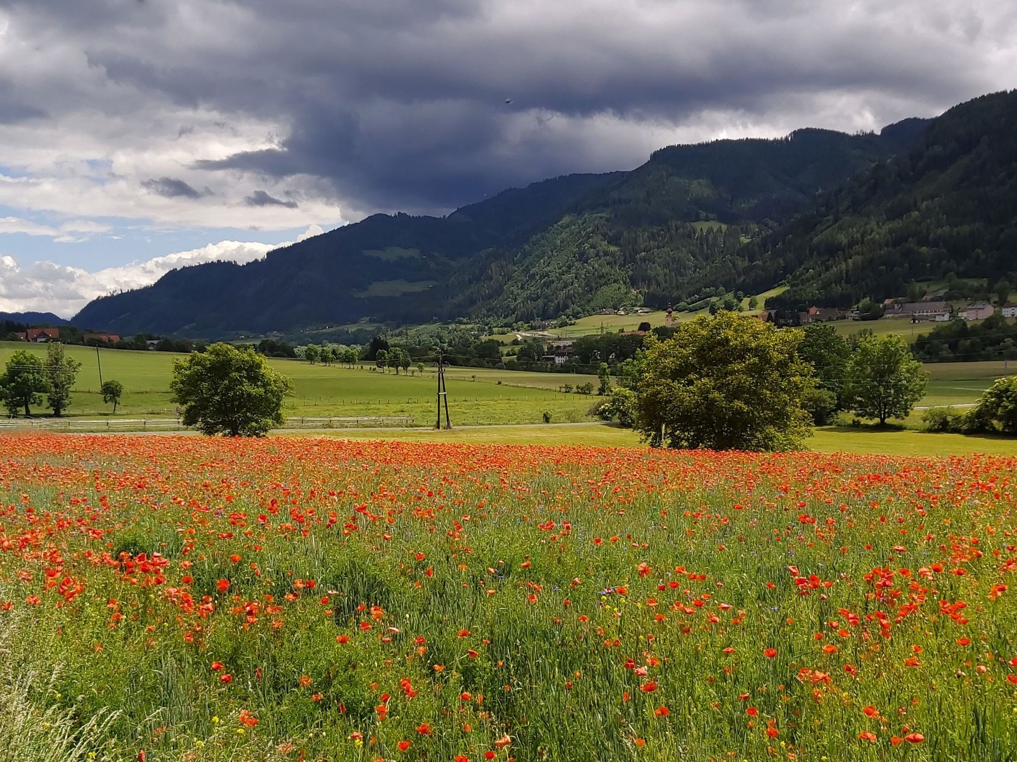 Moderne Wohnung in Pöls mit großer Terrasse-Inside
