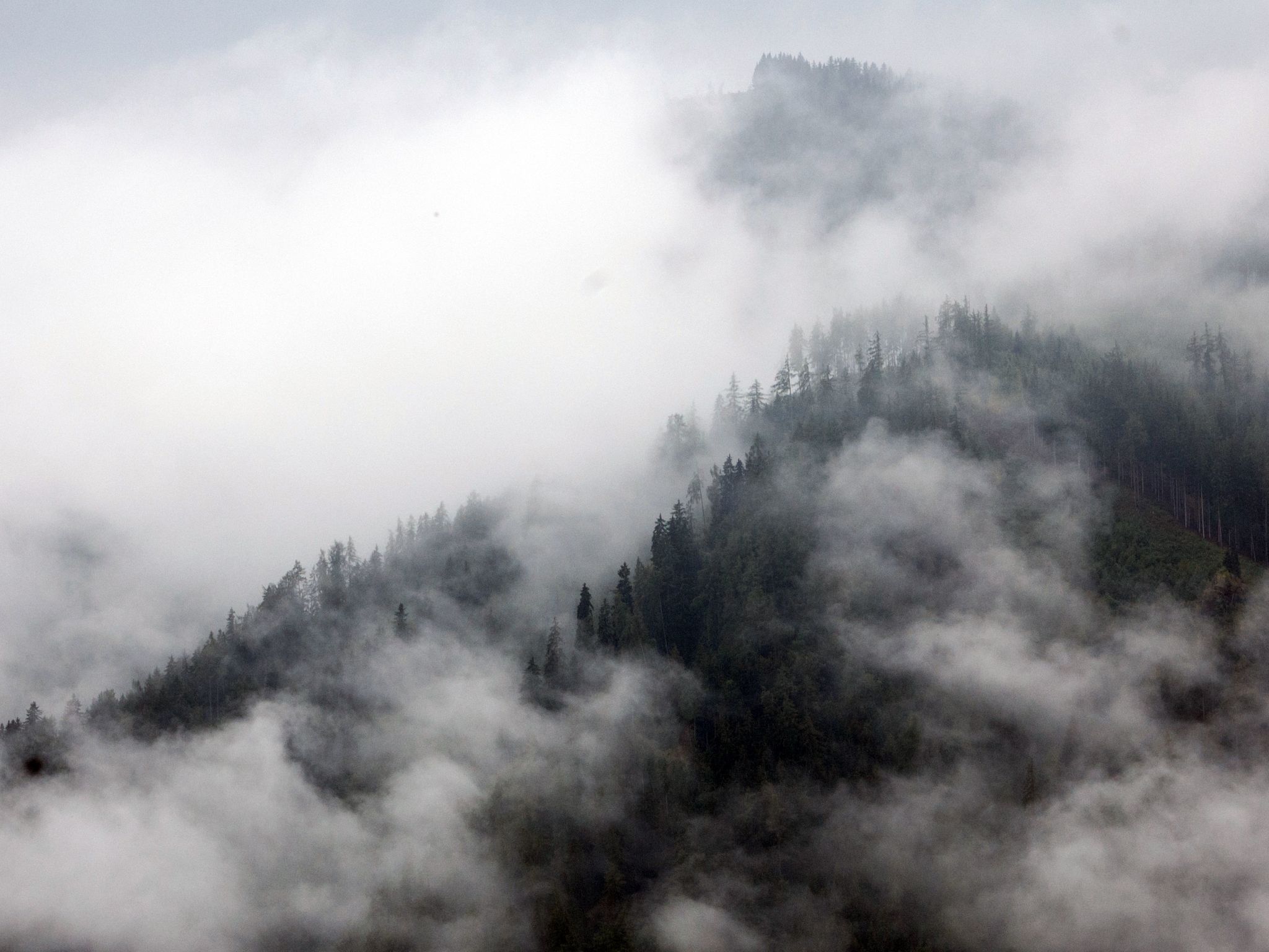 Moderne Wohnung in Pöls mit großer Terrasse-Inside