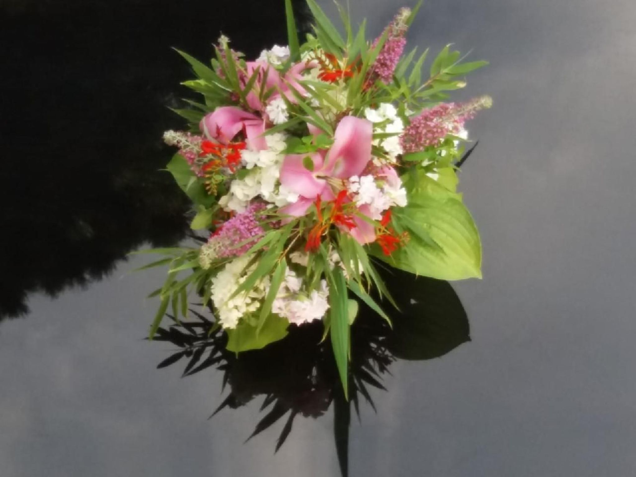 Appartement Murtalblick in Pöls-Inside