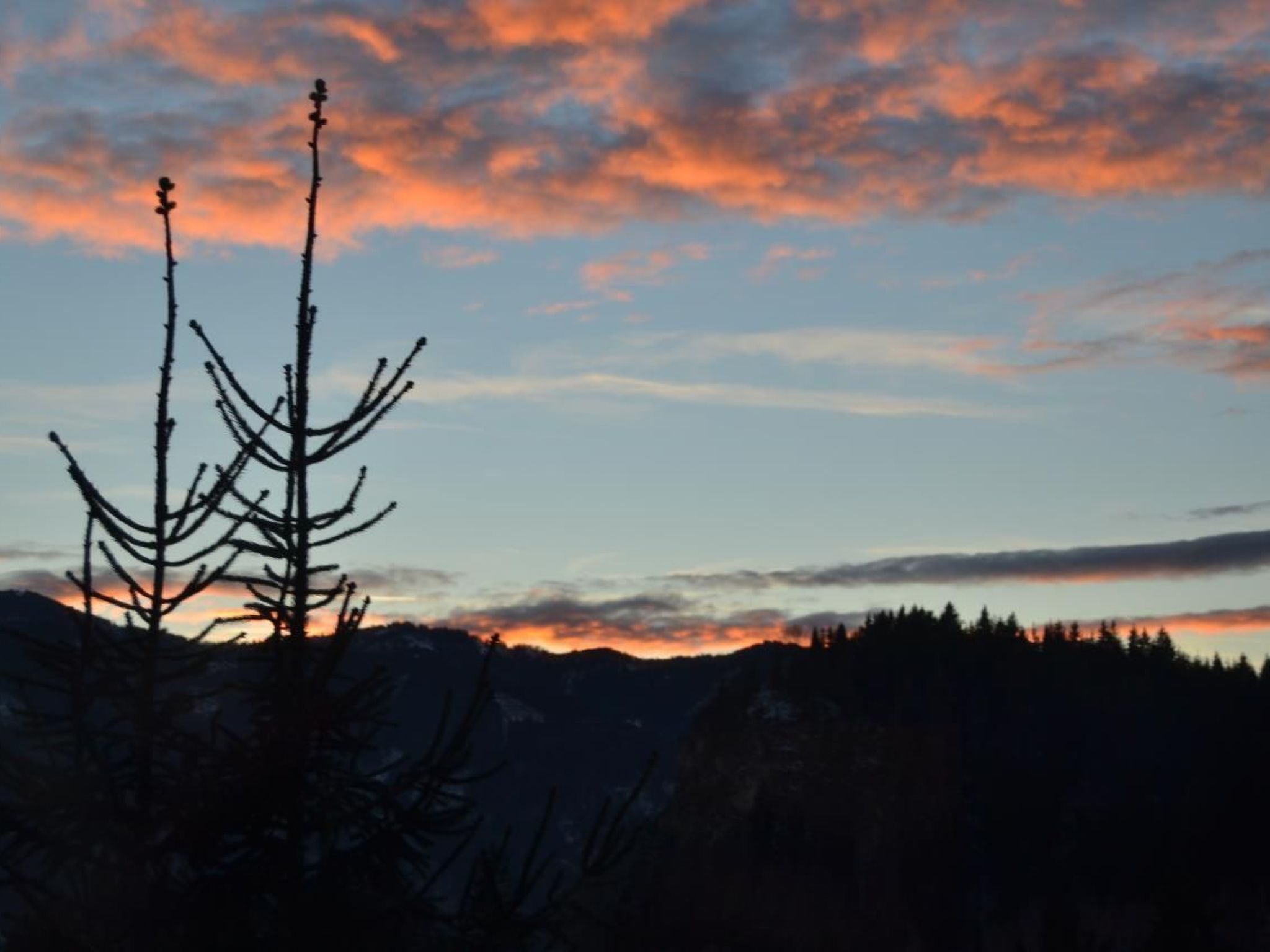 Appartement Murtalblick in Pöls-Inside