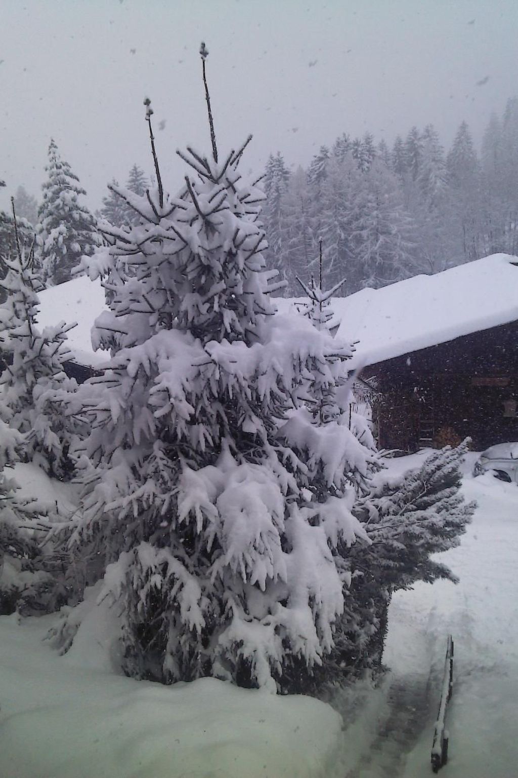Appartement Murtalblick in Pöls-Inside