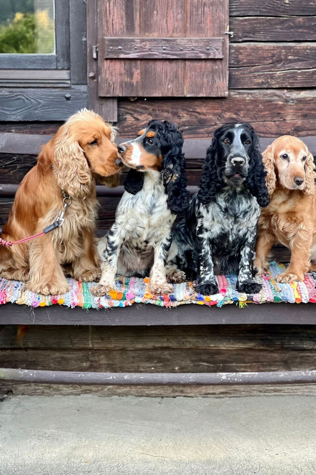 Umundumhütte-Binnen