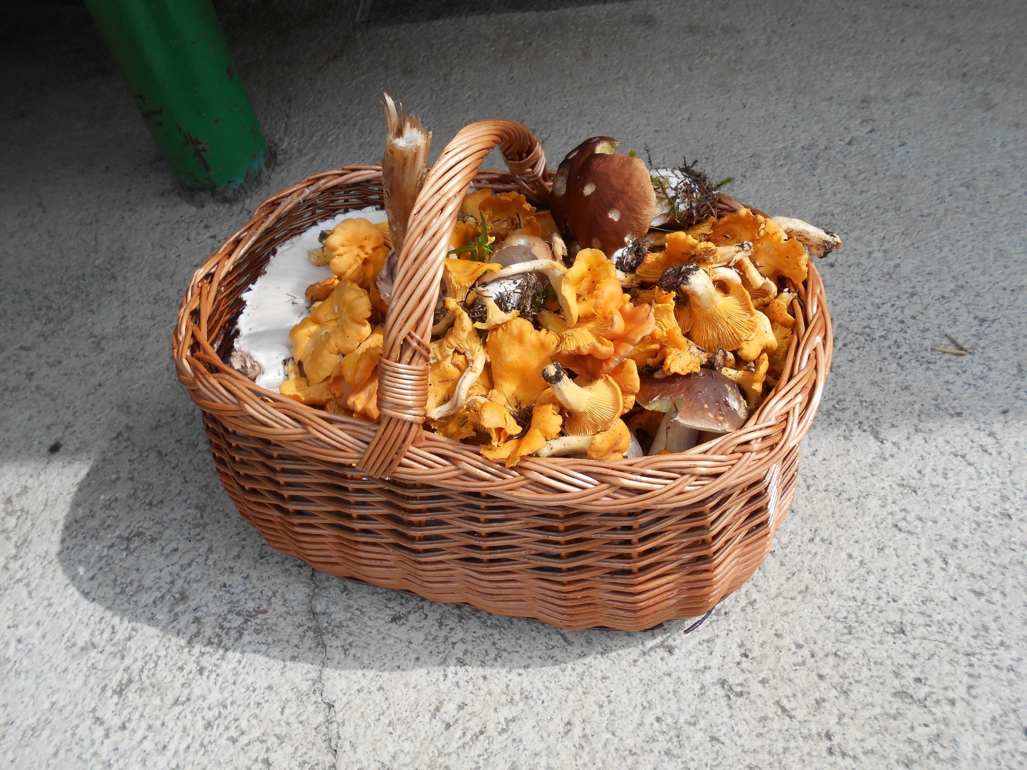 Umundumhütte-Binnen