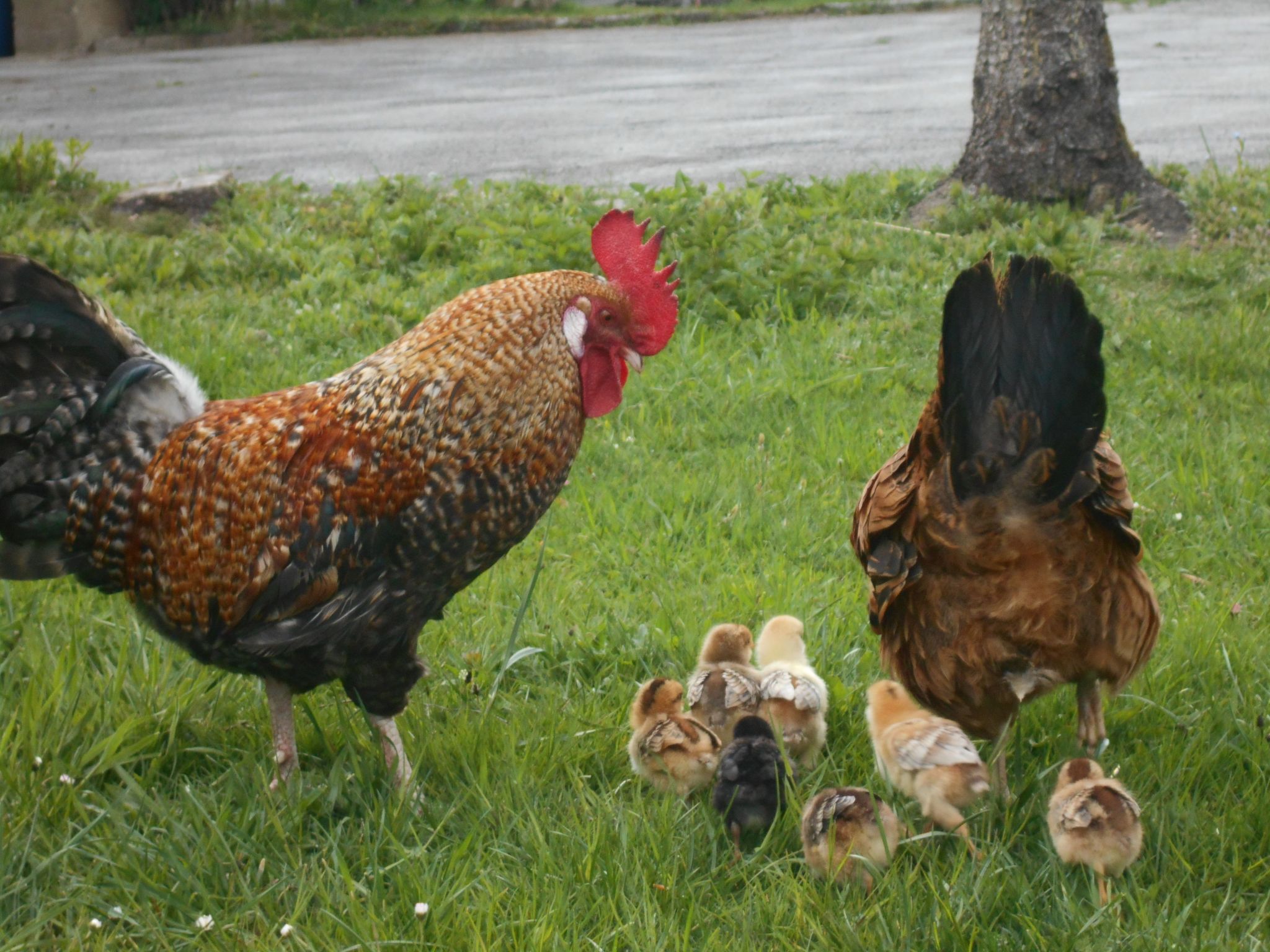 Umundumhütte-Binnen