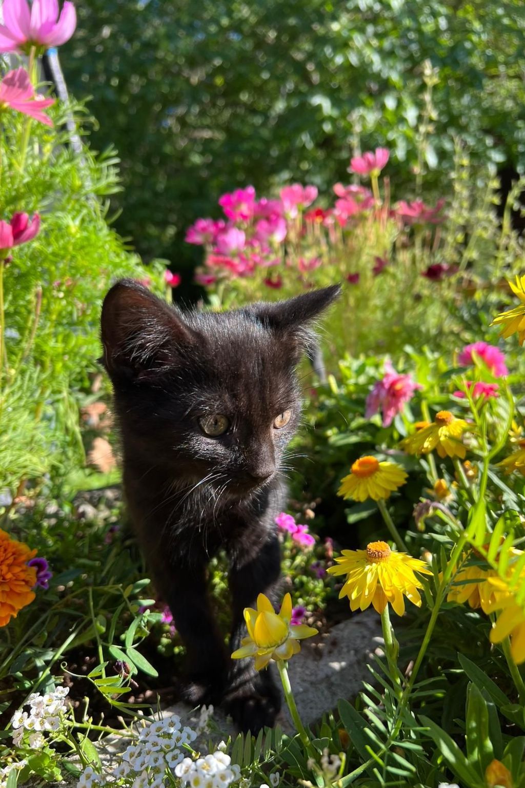 Umundumhütte-Binnen
