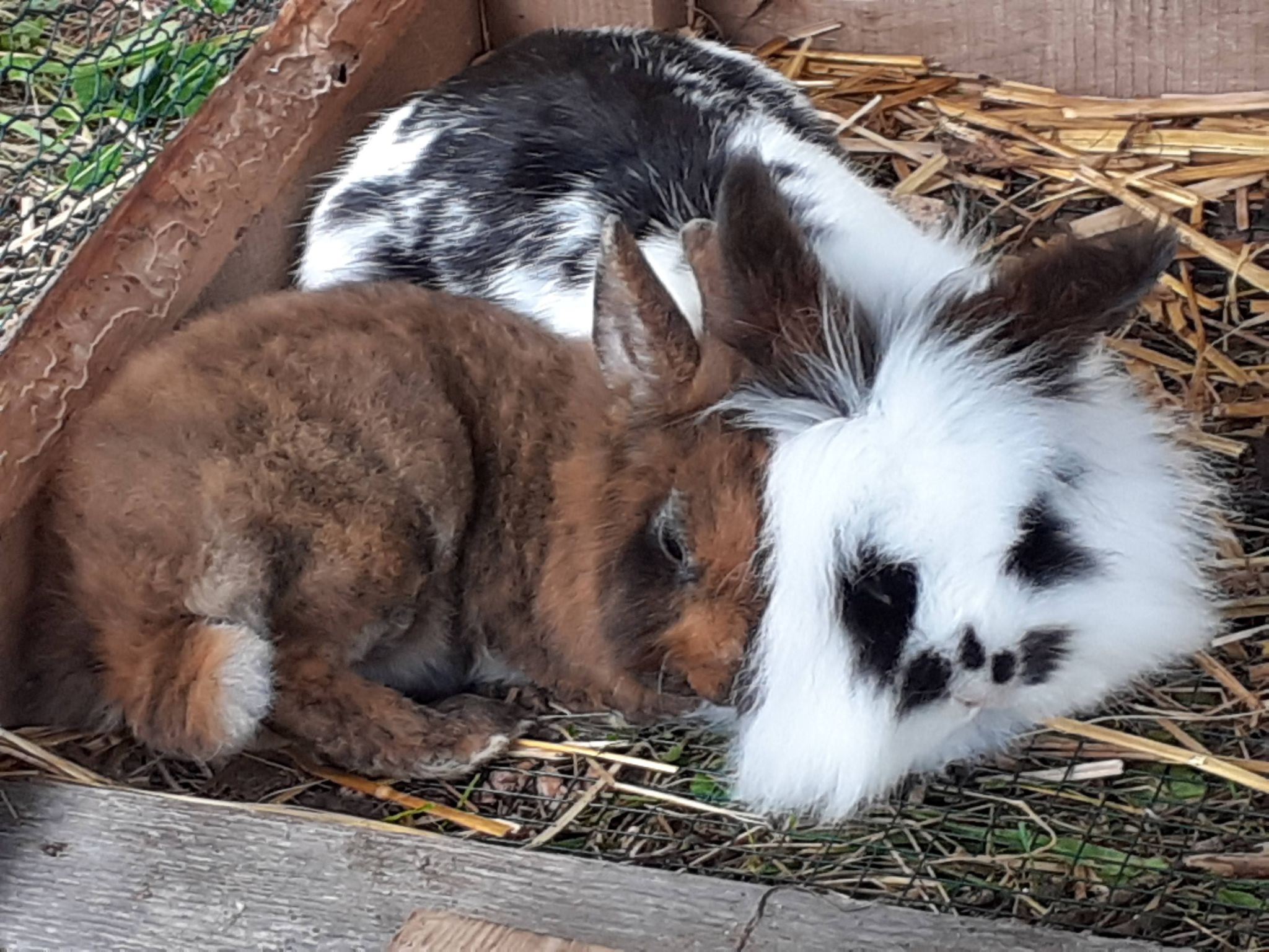 Schönberghütte-Binnen