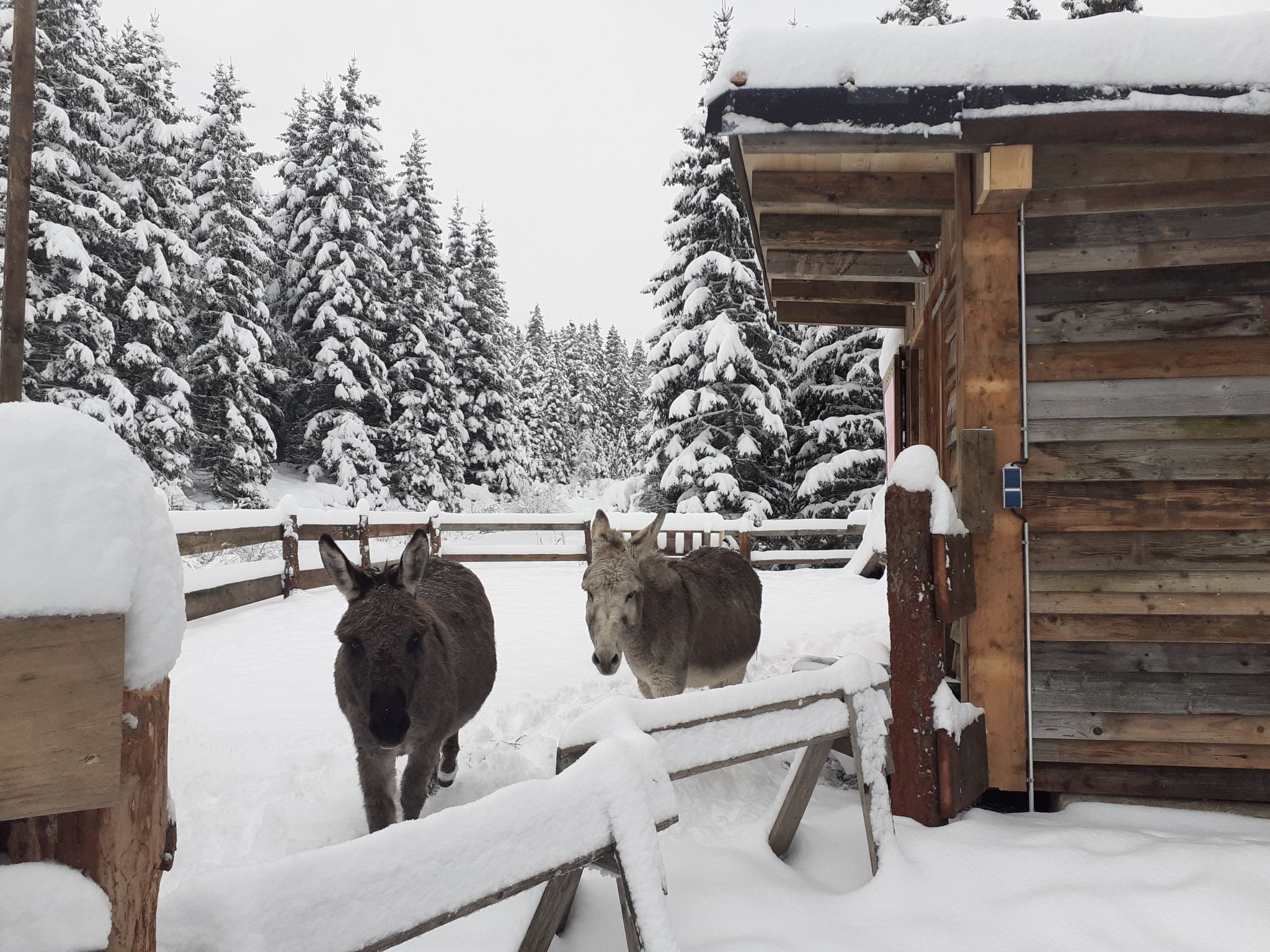 Schönberghütte-Binnen