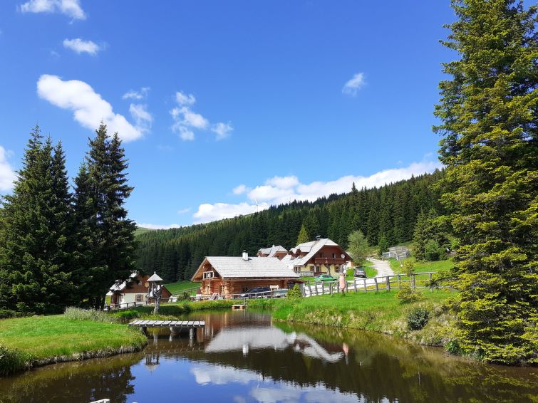 8-persoons vakantiehuis Lachtalhütte in Niederwölz aan de piste in Niederwölz