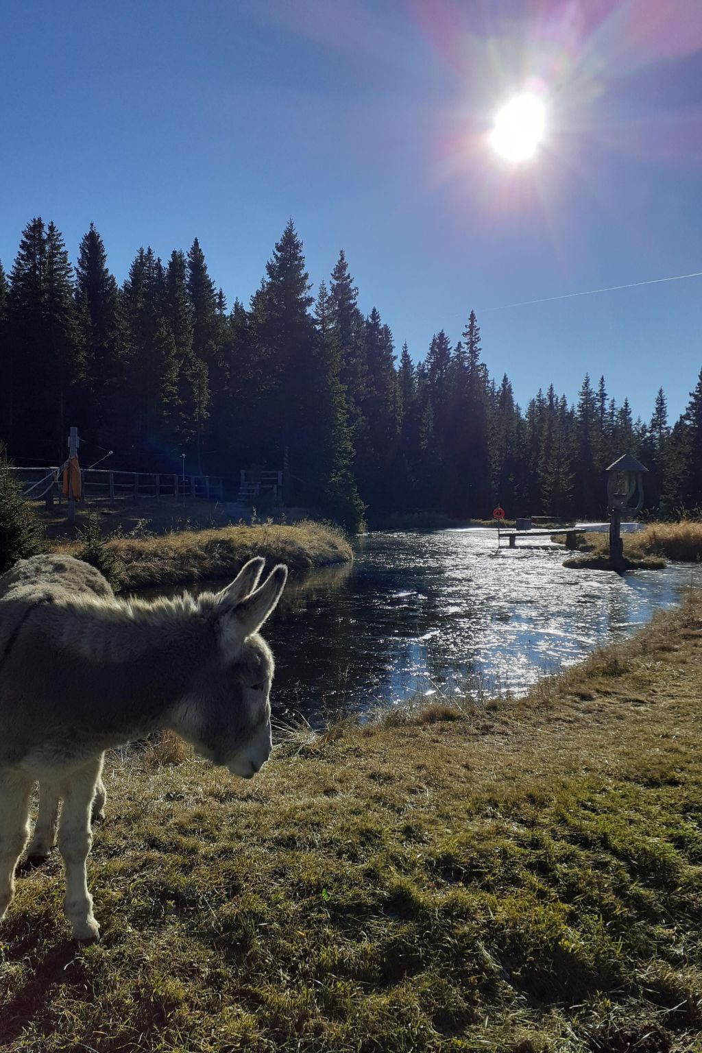 Lachtalhütte-Binnen