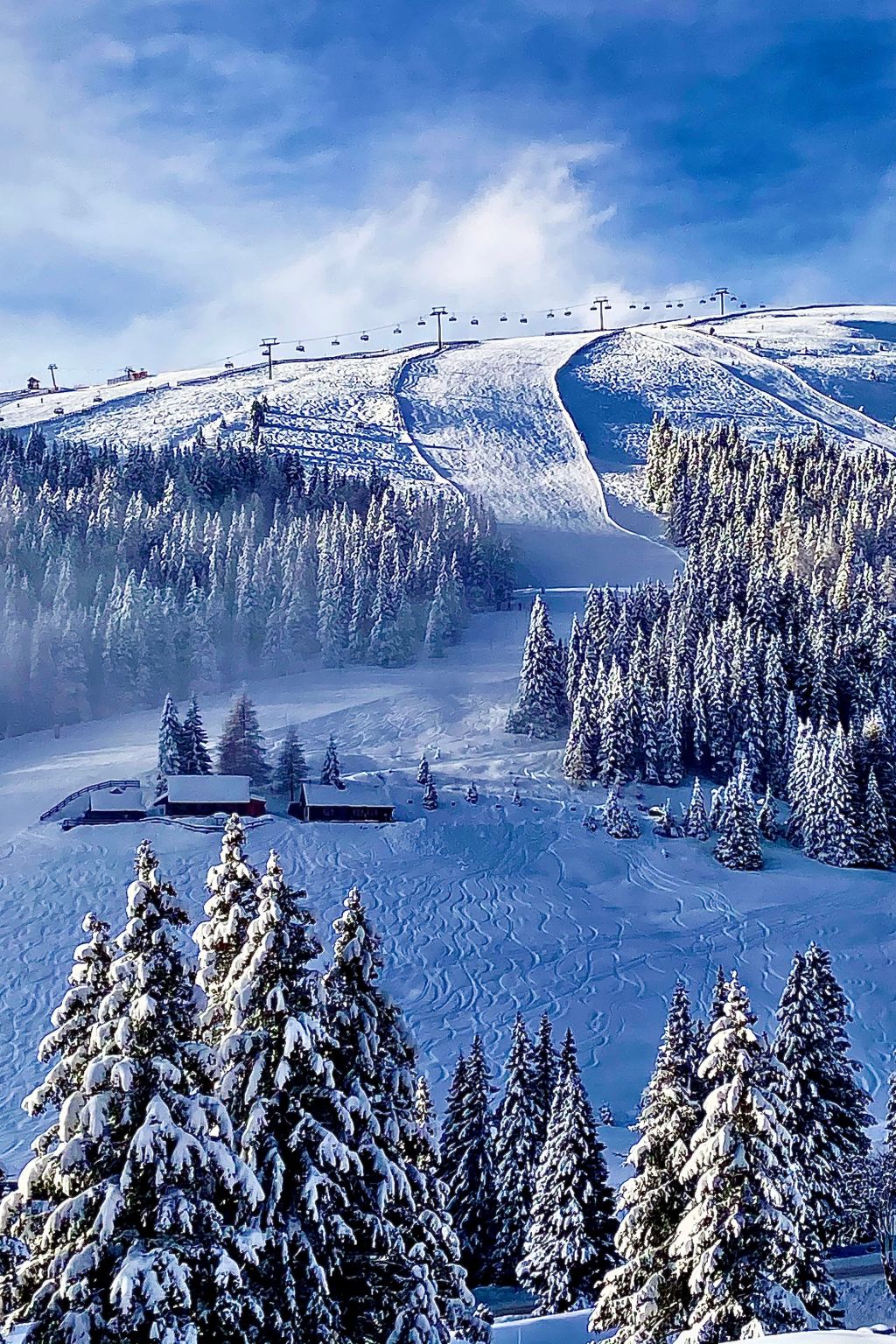 Skihütte im Lachtal mit Kaminofen und Sauna-Image-tags.info