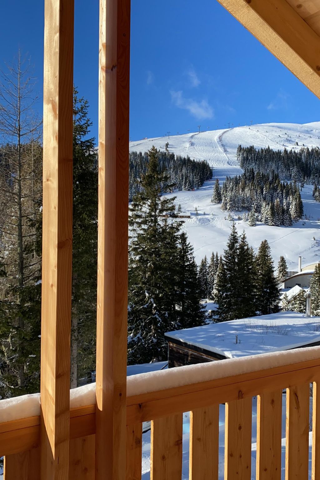 Skihütte im Lachtal mit Kaminofen und Sauna-Image-tags.info