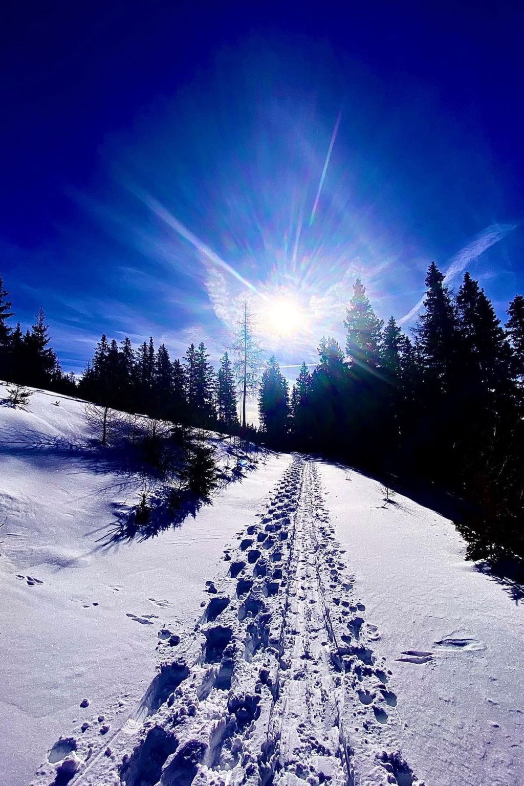 Skihütte im Lachtal mit Kaminofen und Sauna-Image-tags.info