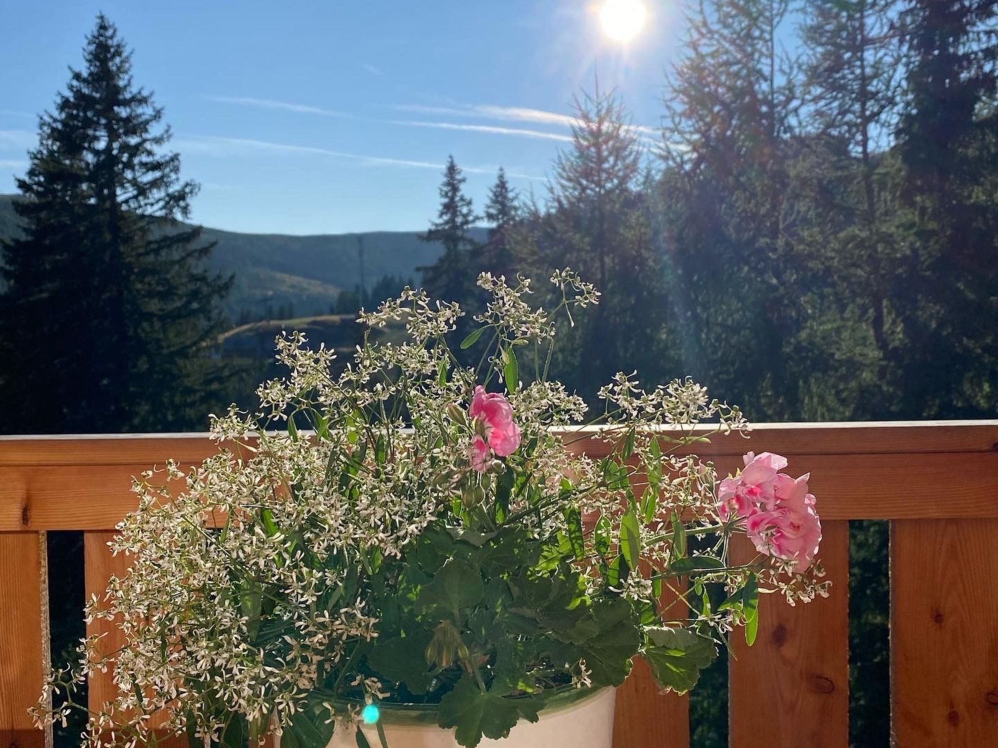 Skihütte im Lachtal mit Kaminofen und Sauna-Image-tags.info