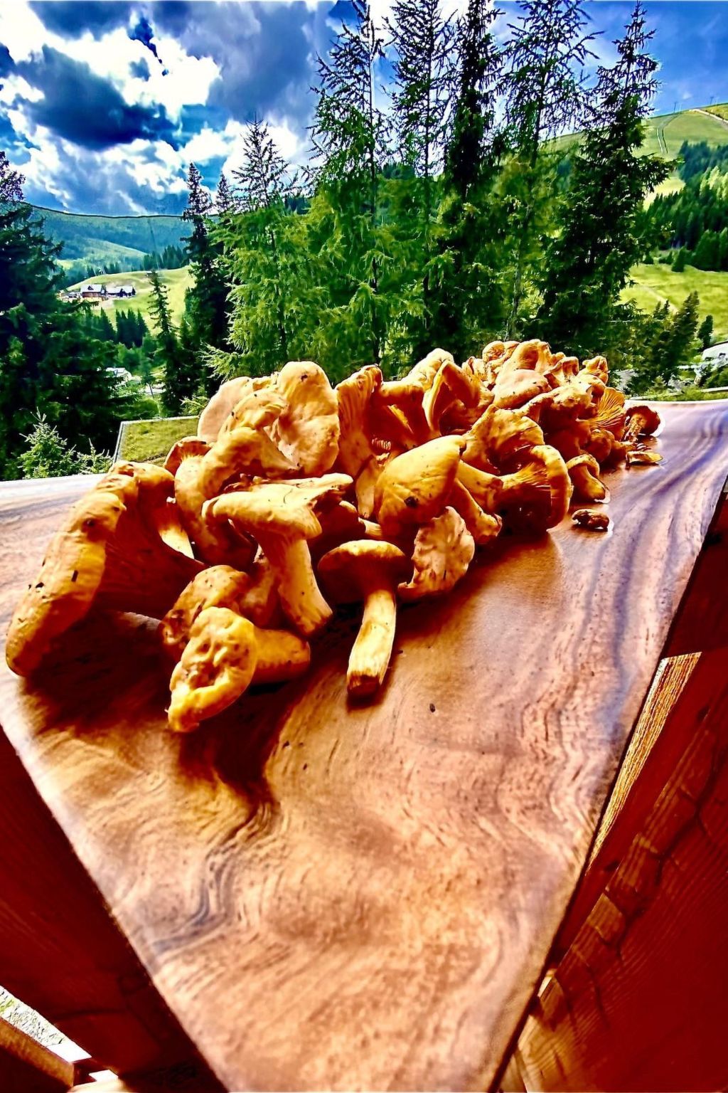 Skihütte im Lachtal mit Kaminofen und Sauna-Image-tags.info