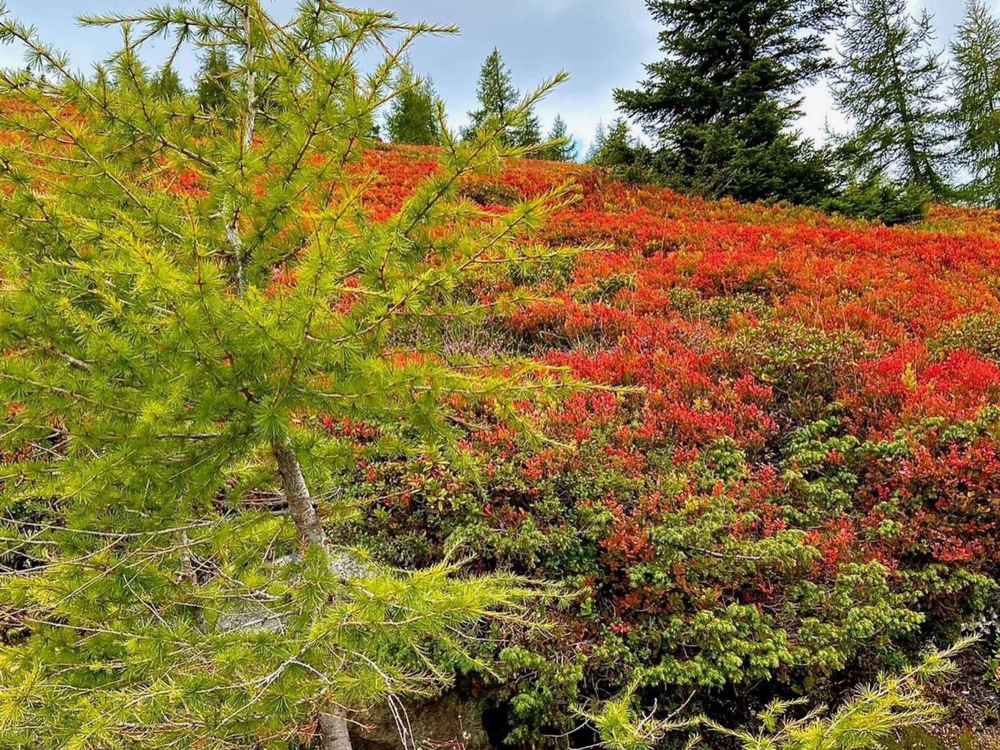 Skihütte im Lachtal mit Kaminofen und Sauna-Image-tags.info