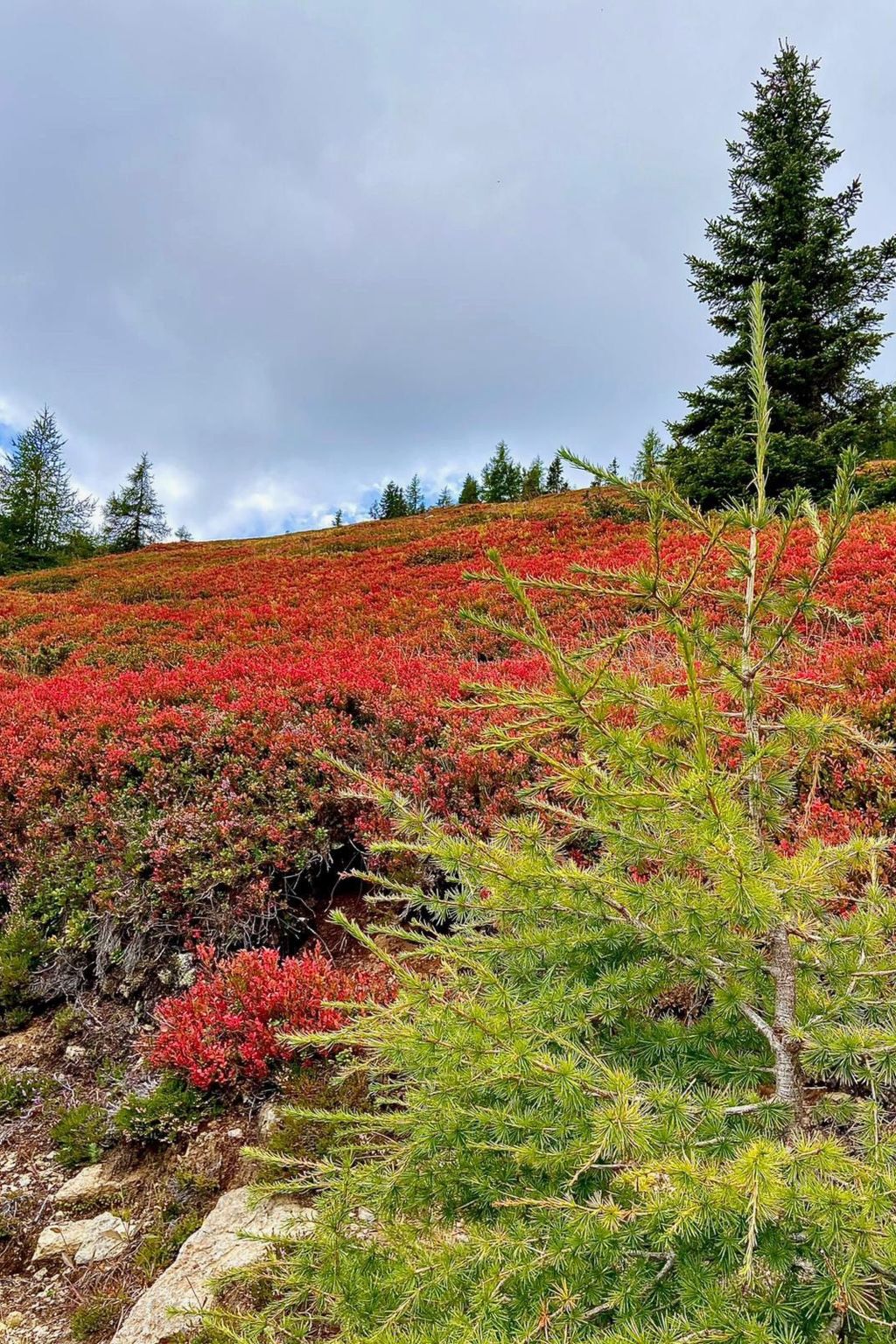 Skihütte im Lachtal mit Kaminofen und Sauna-Image-tags.info