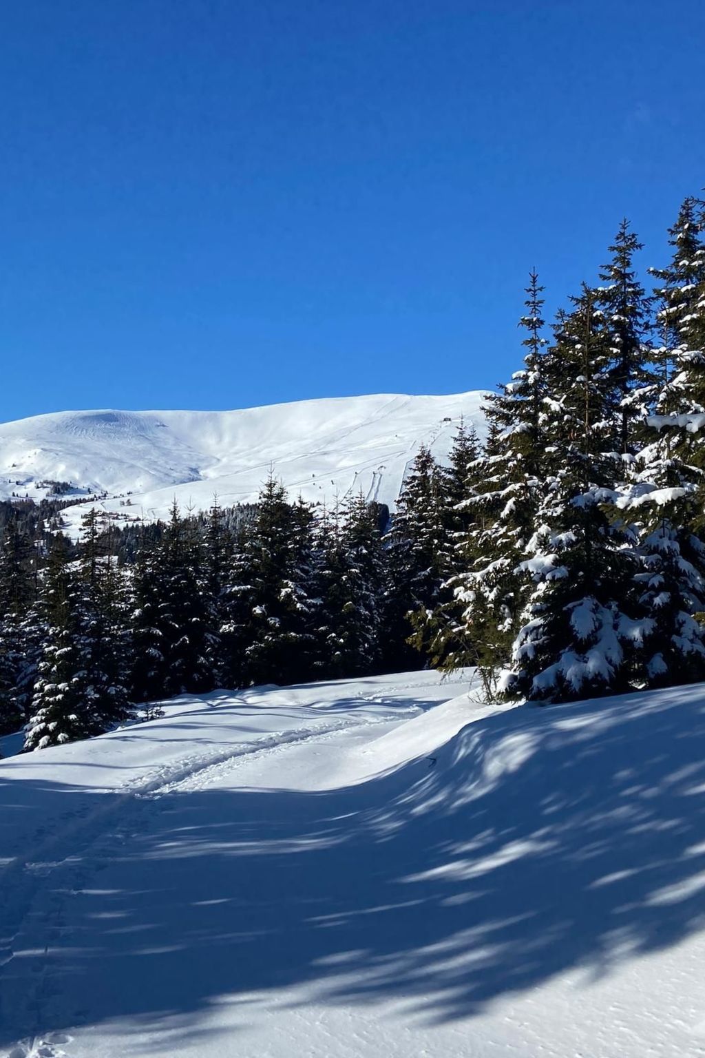 Skihütte im Lachtal mit Kaminofen und Sauna-Image-tags.info