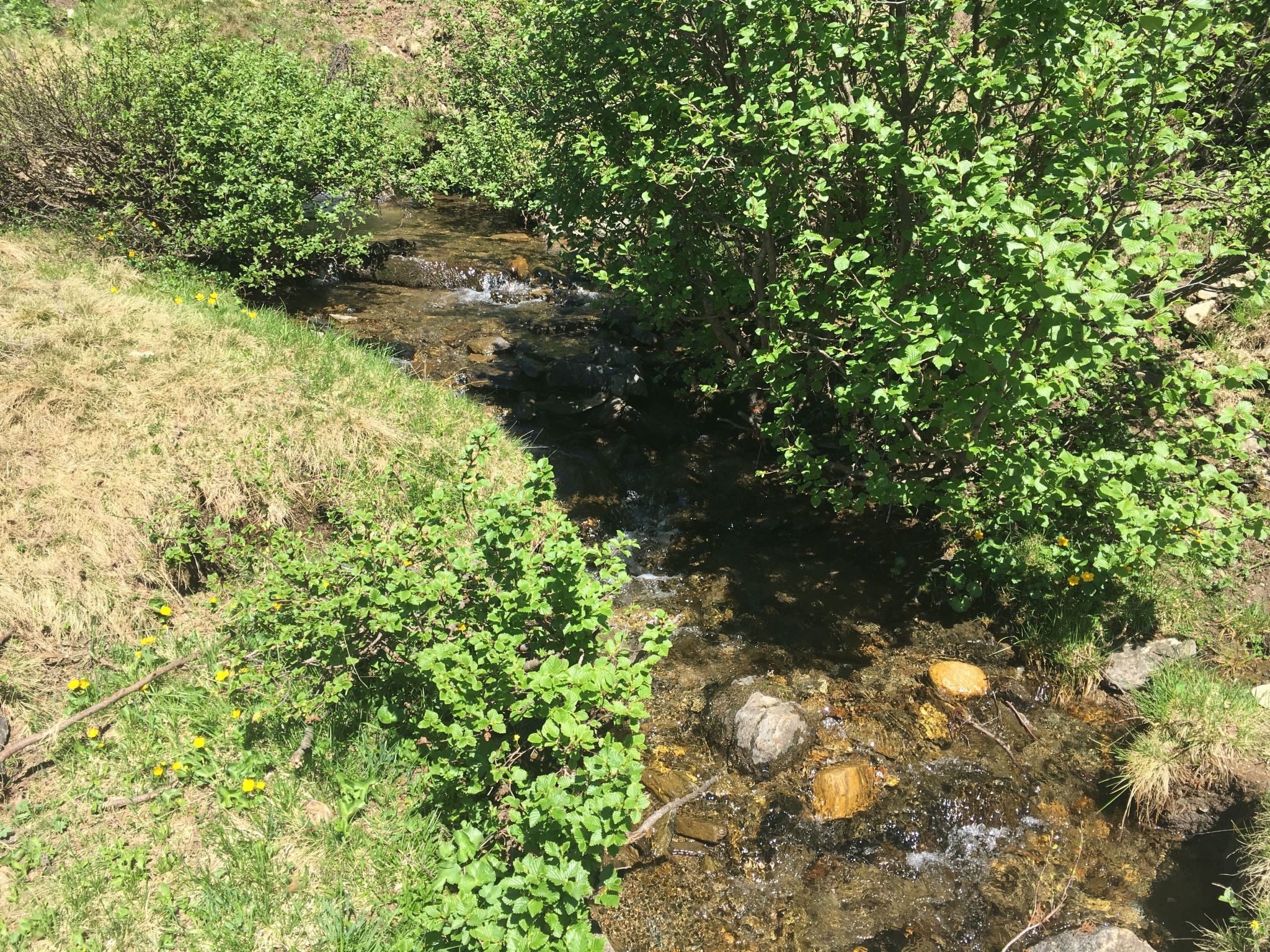 Jagdhütte-Image-tags.info