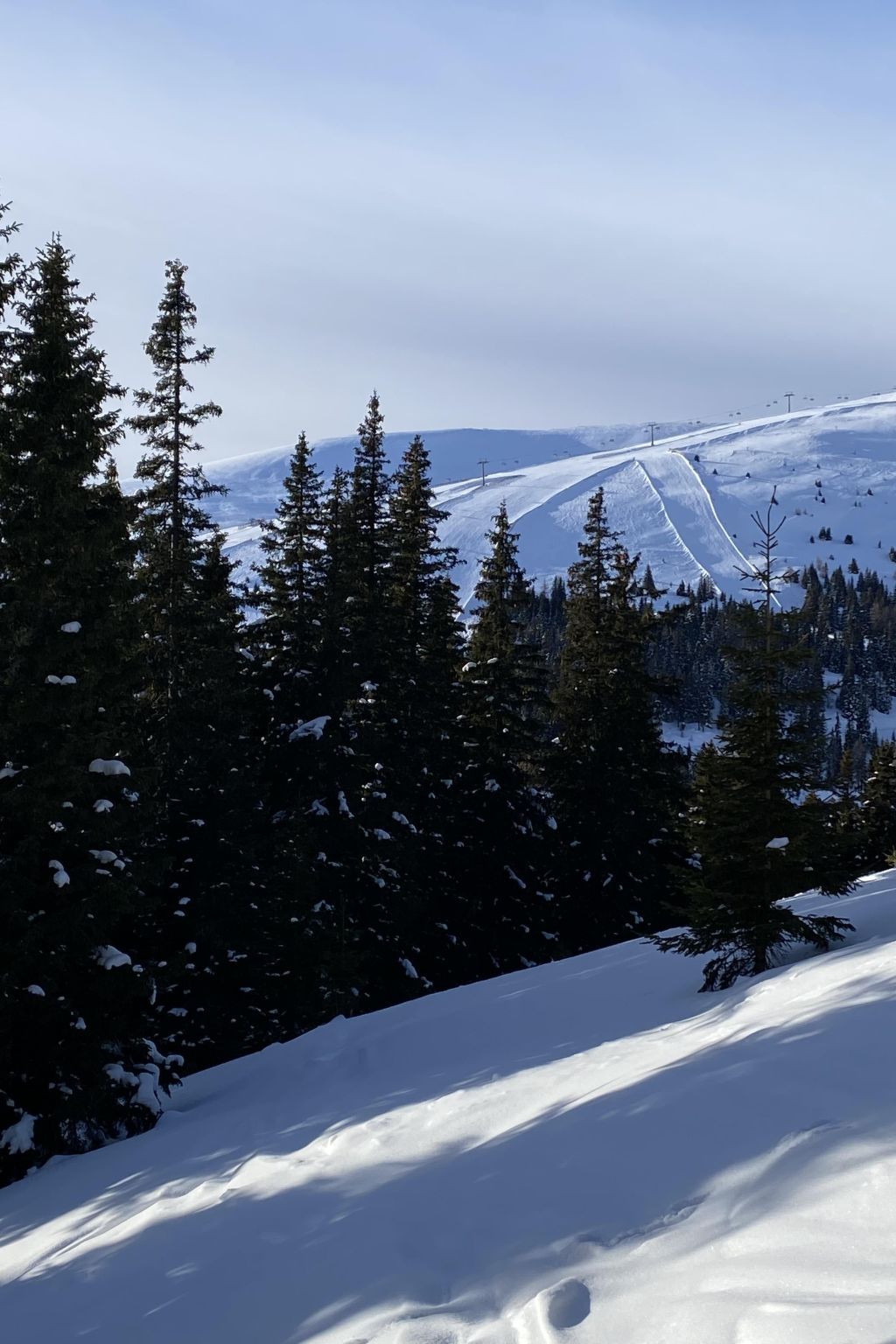 Jagdhütte-Image-tags.info