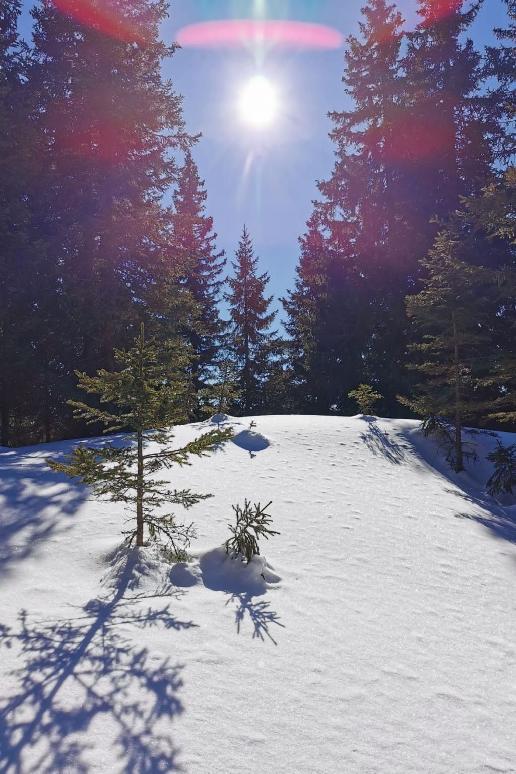 Jagdhütte-Image-tags.info