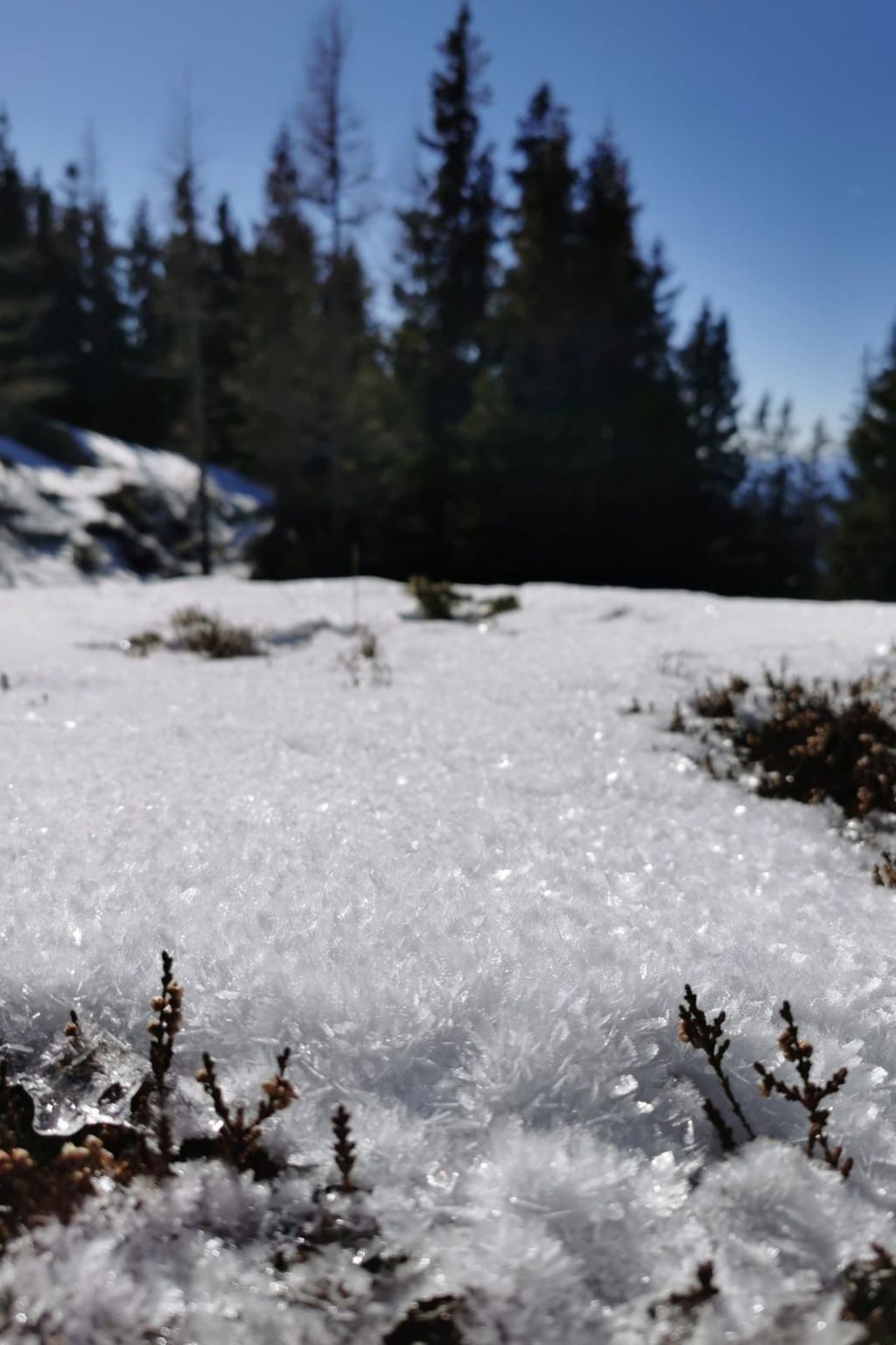 Jagdhütte-Image-tags.info