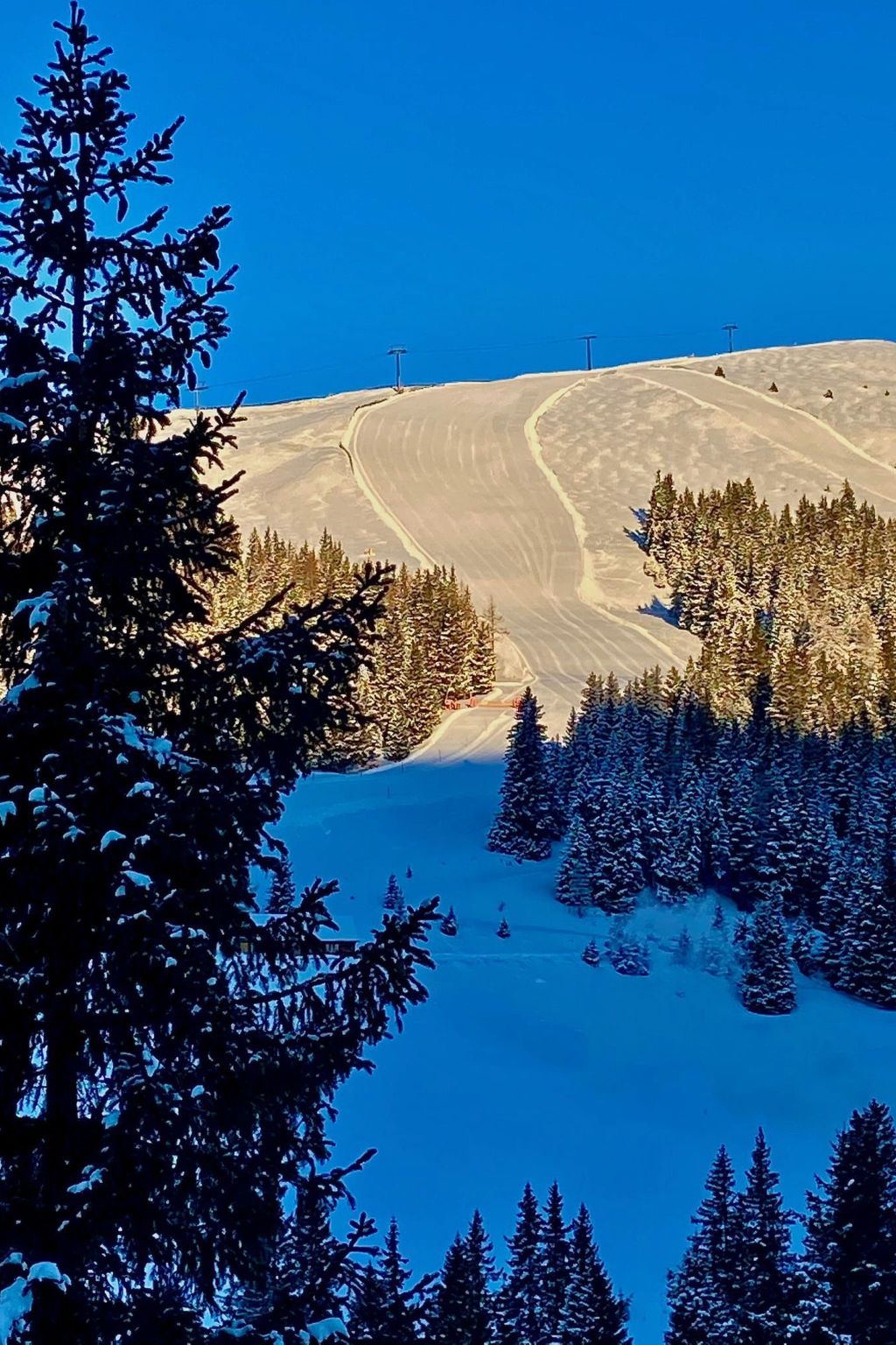 Jagdhütte-Image-tags.info