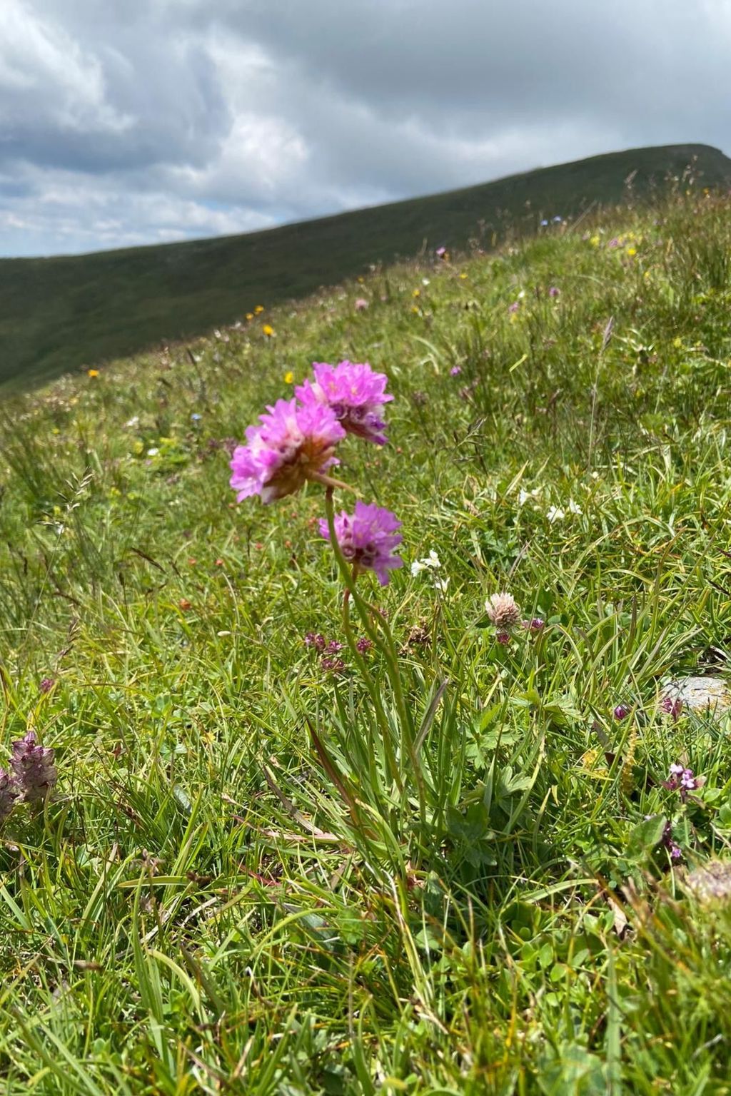 Jagdhütte-Image-tags.info