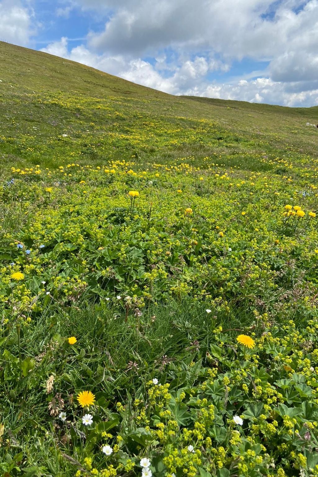 Jagdhütte-Image-tags.info