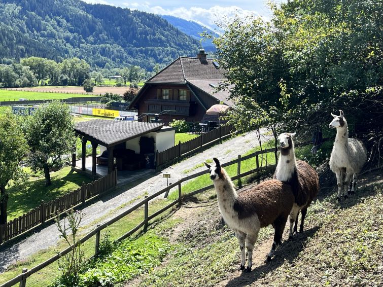Search and Stay Destinations. Holidays Rentals in Niederwölz, Murau District - Styria - Austria