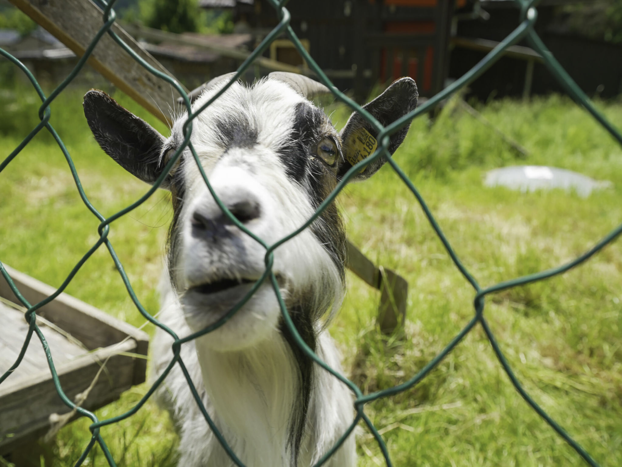 Camping Bella Austria - Buiten