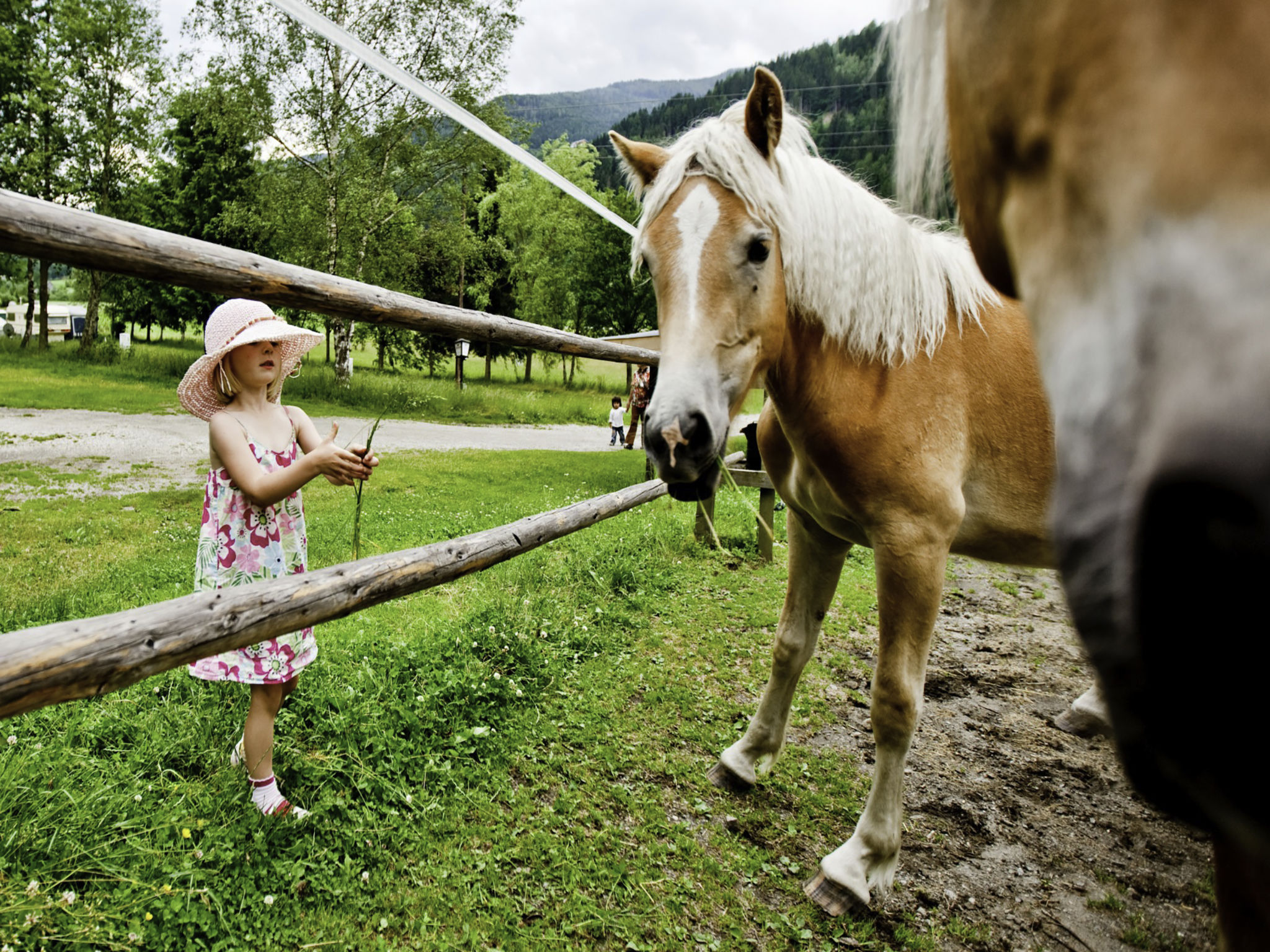 Camping Bella Austria - Buiten