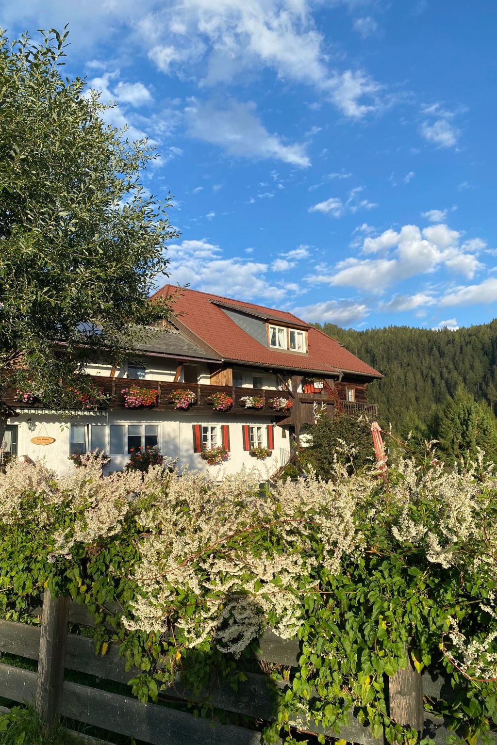 Haus Mauken - Appartments mit Panoramablick-Dedans