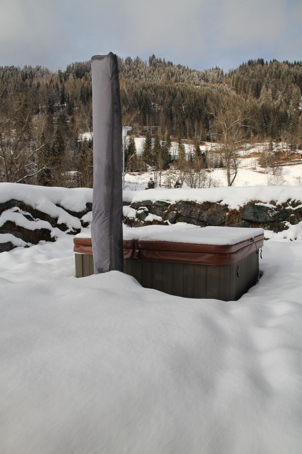 Wellnesschalet-Dedans