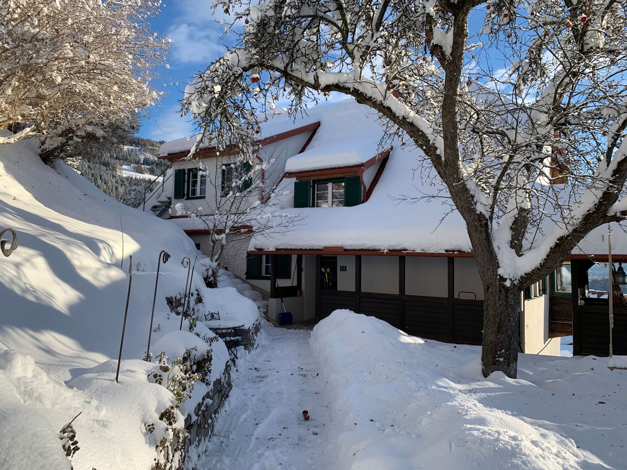 Chalet Elsa Murau-Image-tags.info