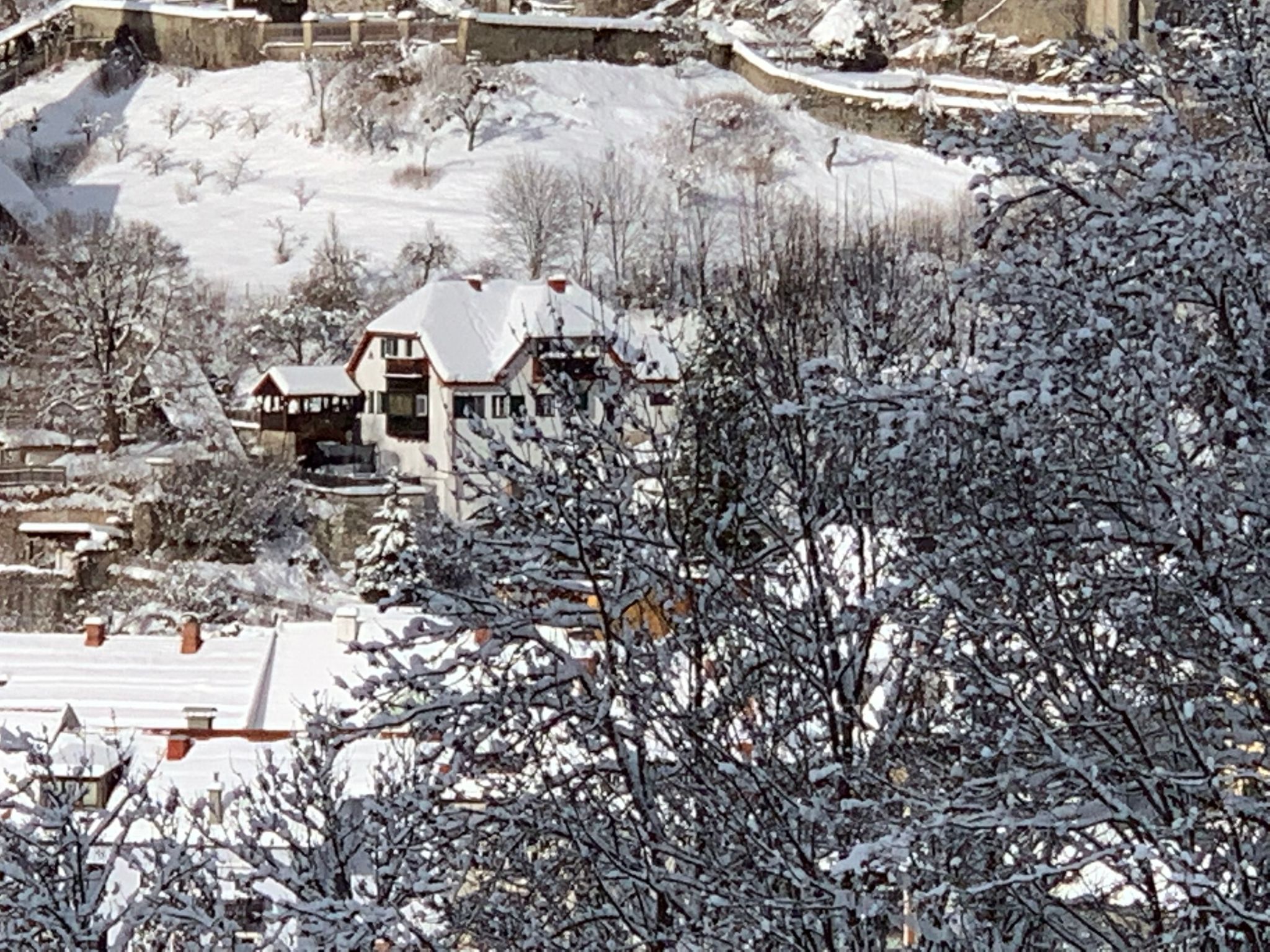 Chalet Elsa Murau-Image-tags.info