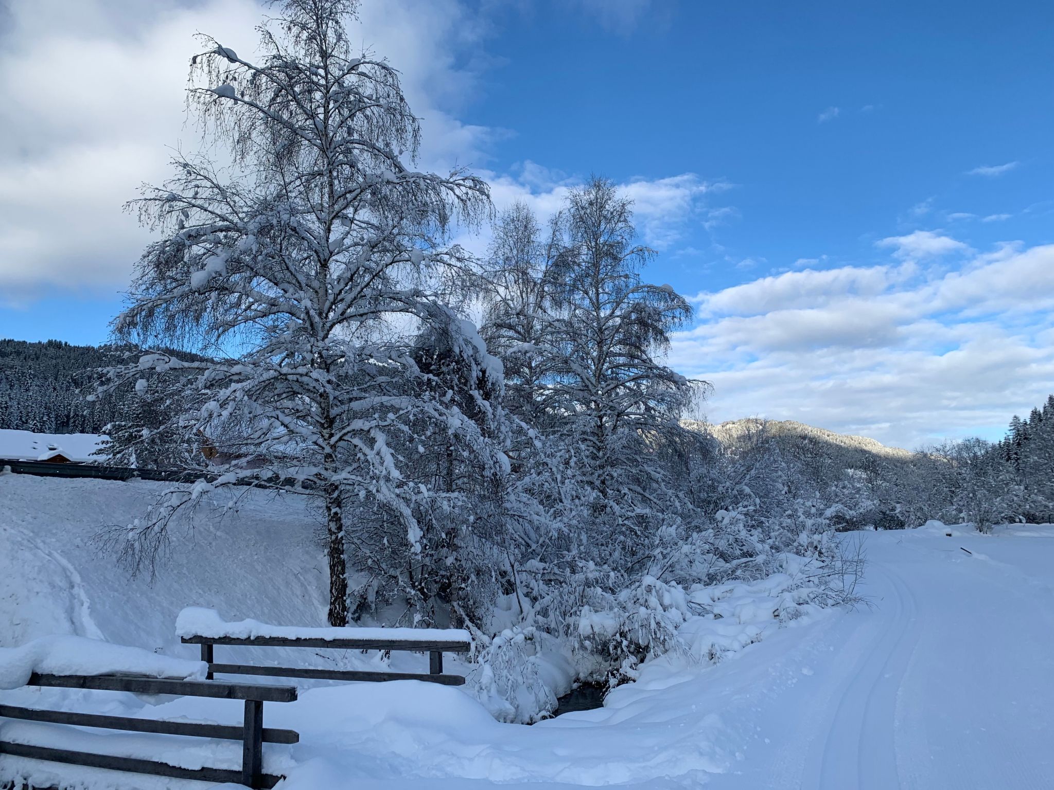 Chalet Elsa Murau-Image-tags.info