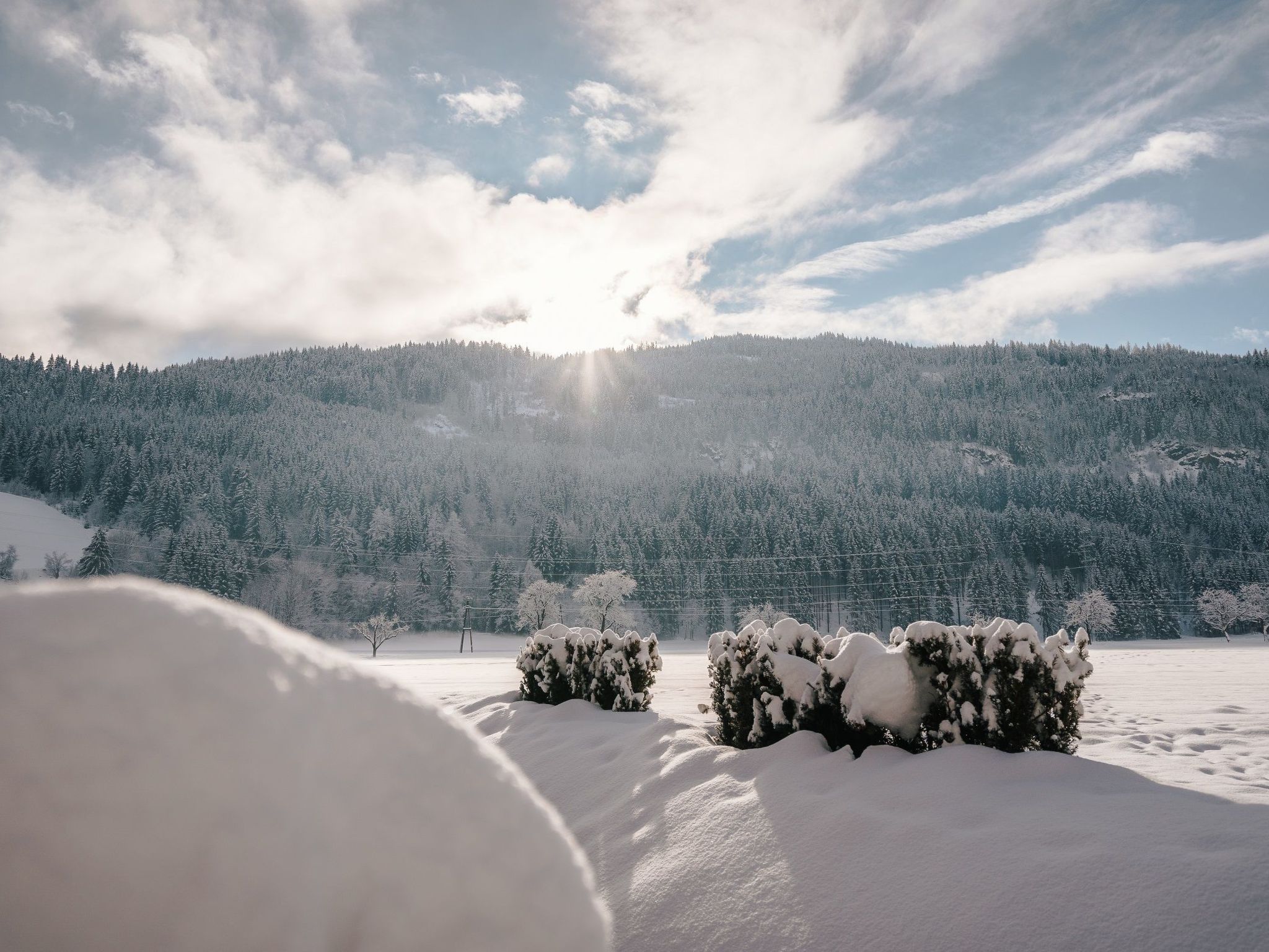 In Murau mit Privatem Pool-Image-tags.info