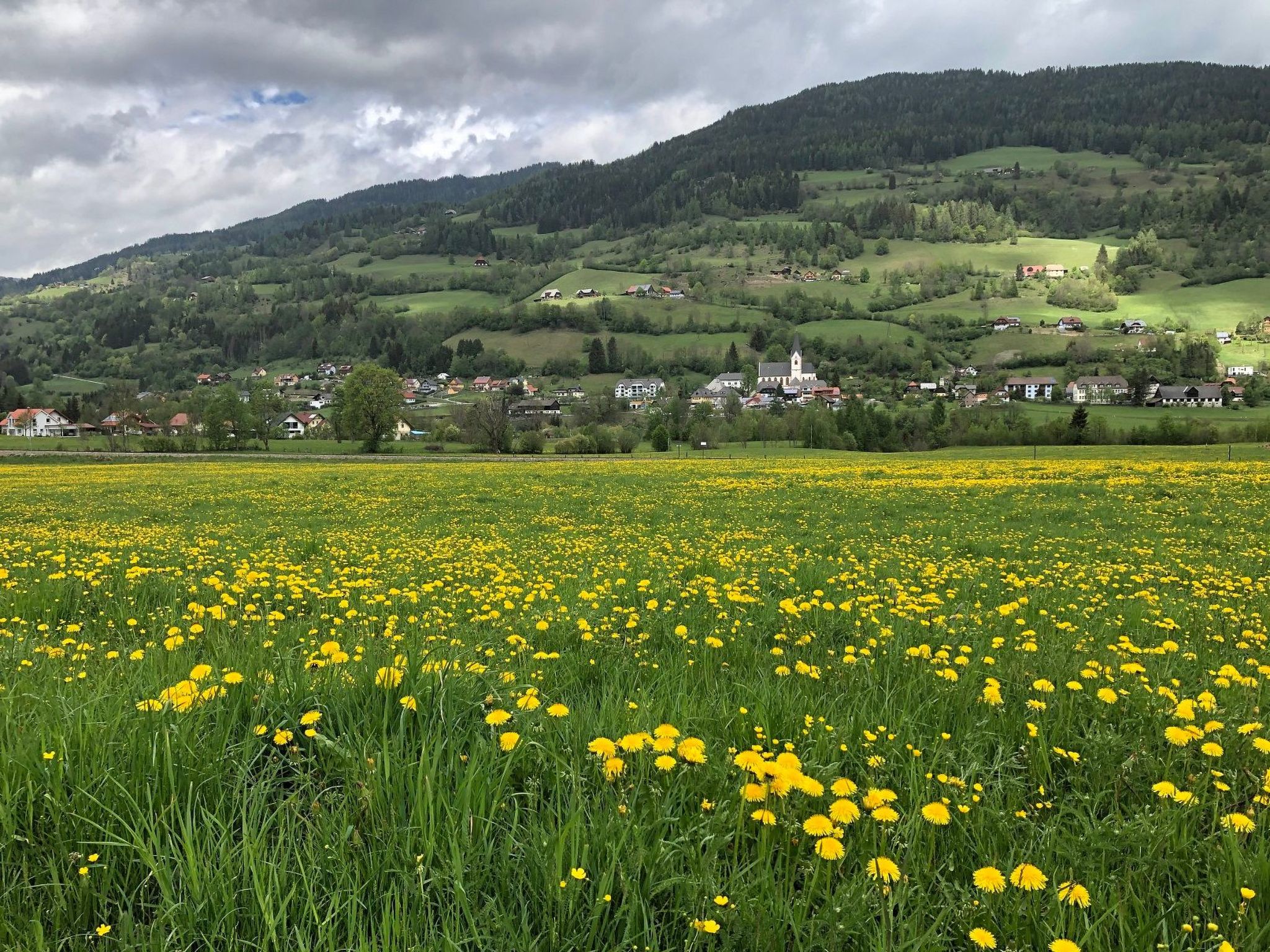In Murau mit Privatem Pool-Image-tags.info
